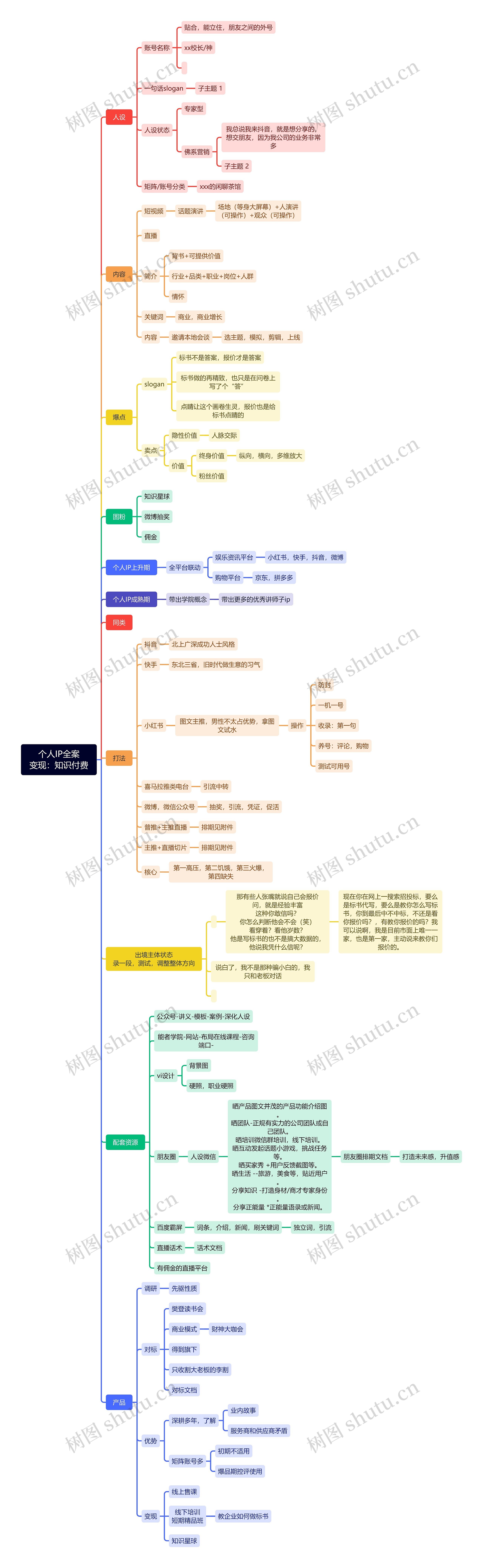 个人IP全案
变现：知识付费