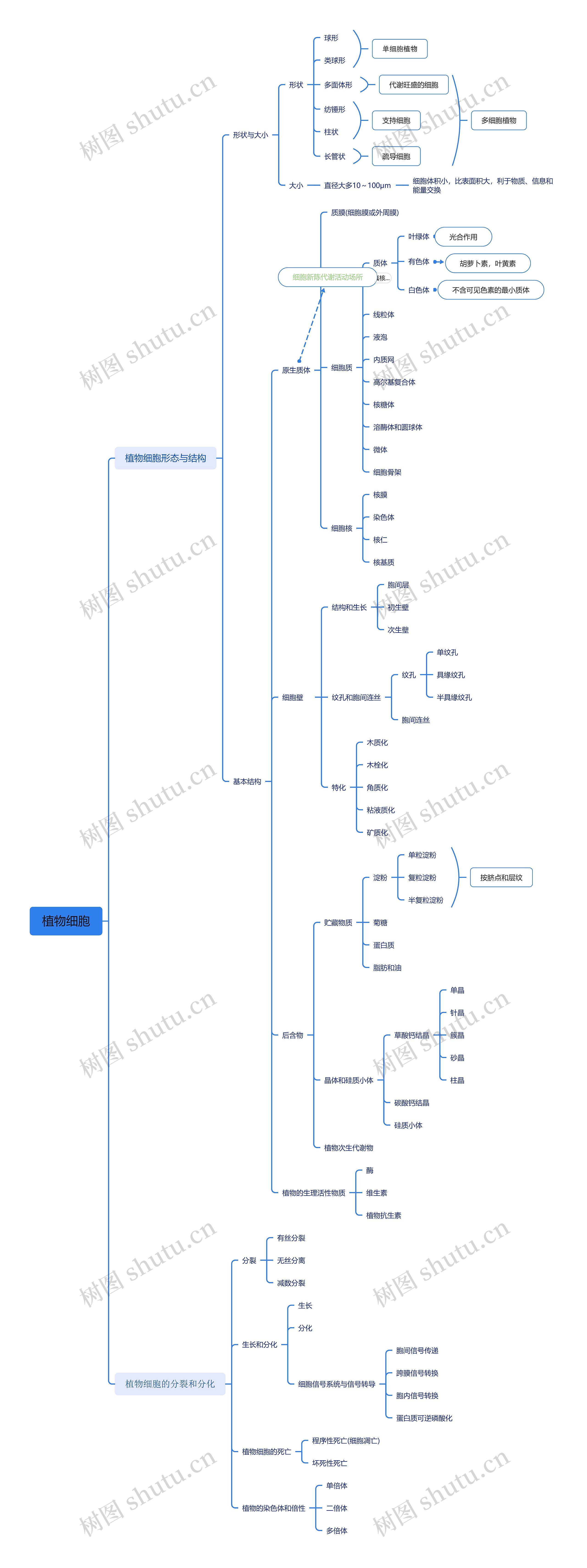 植物细胞思维导图
