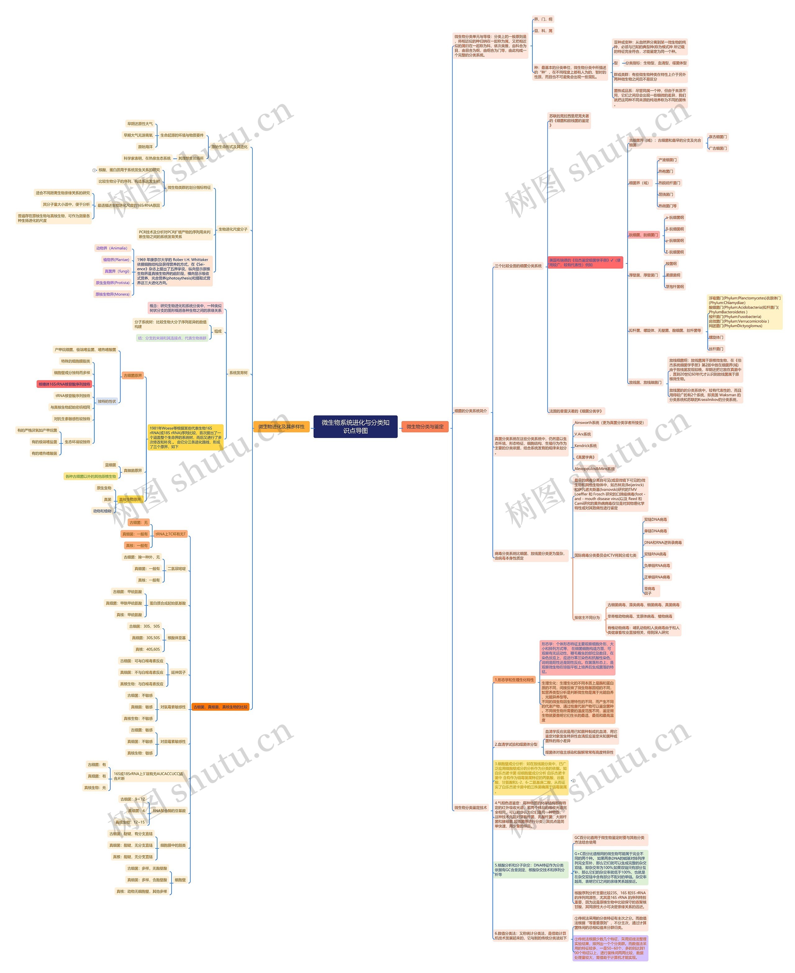 微生物系统进化与分类知识点导图思维导图