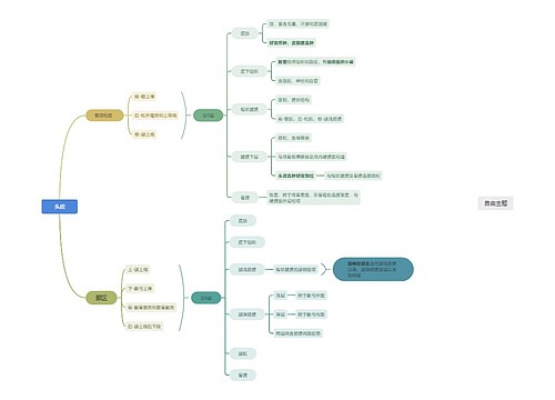 头皮思维导图