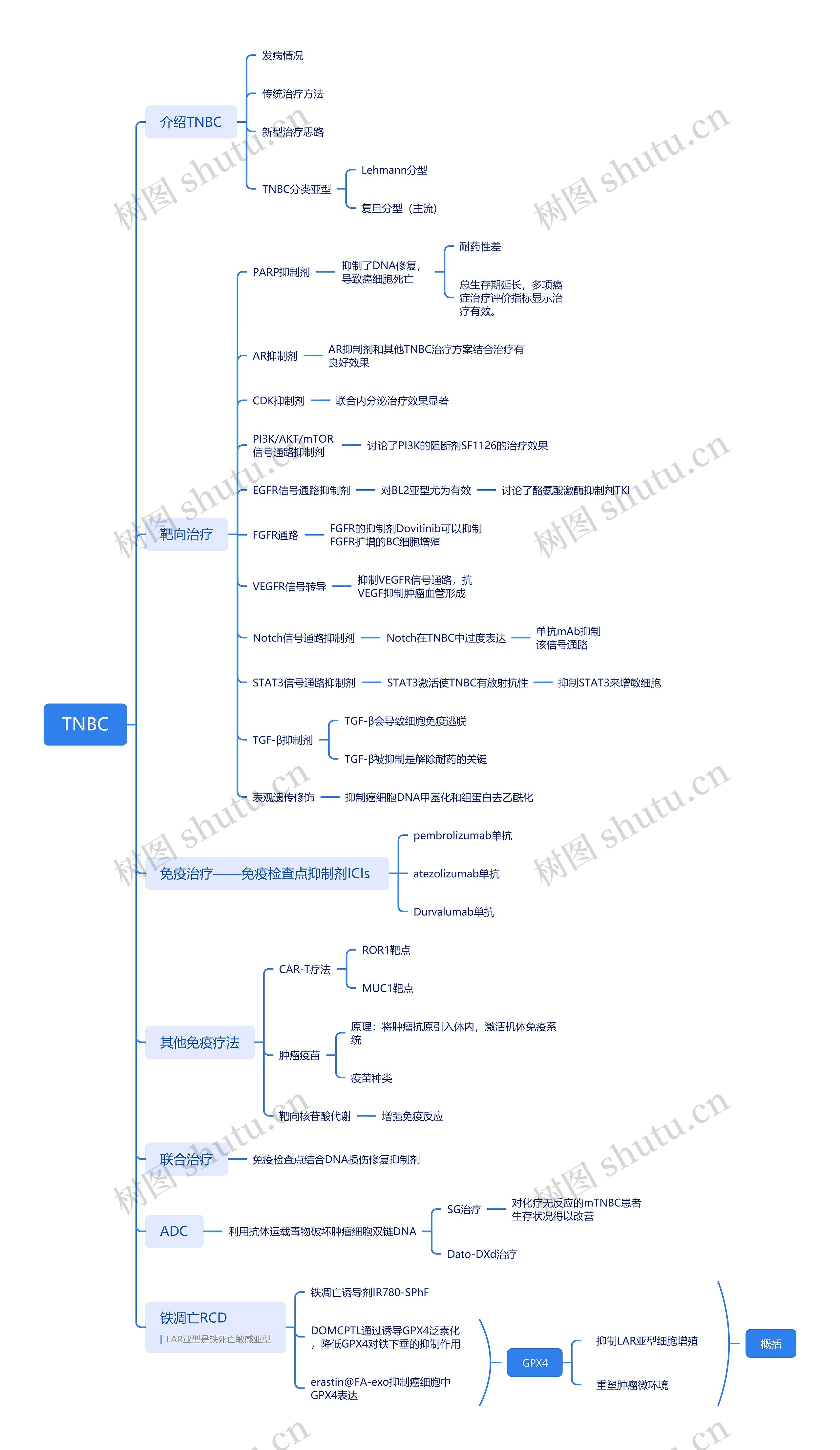 TNBC治疗方案思维导图