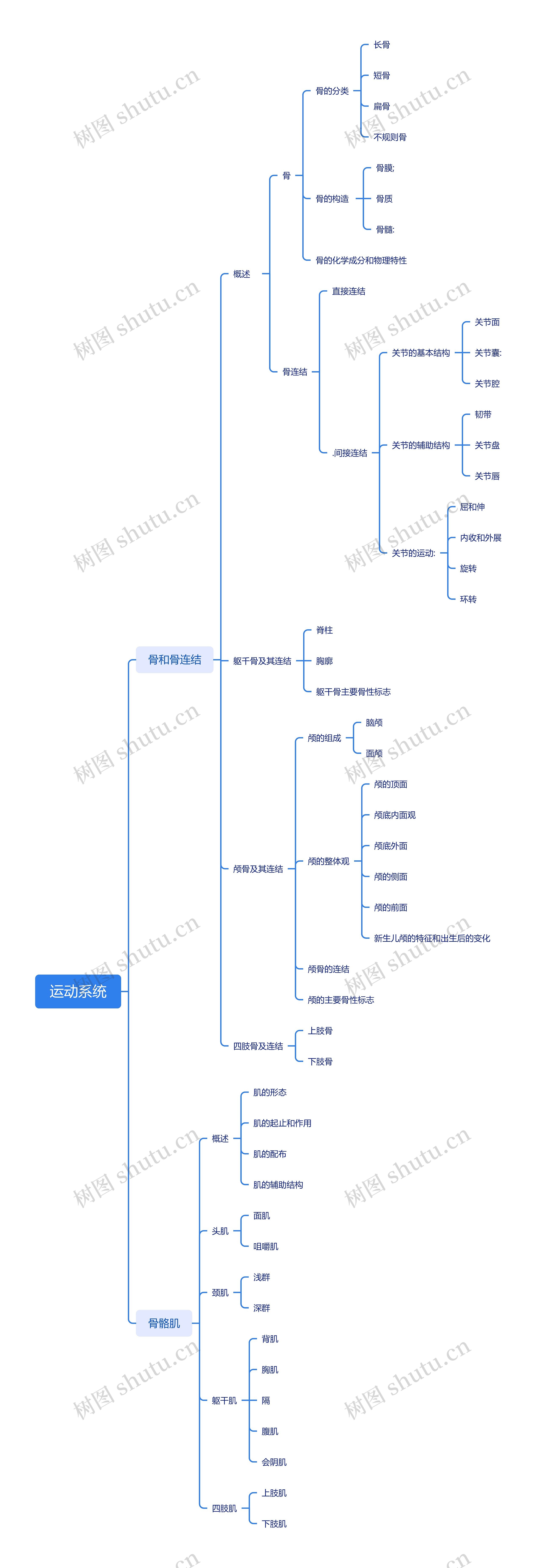 运动系统思维导图