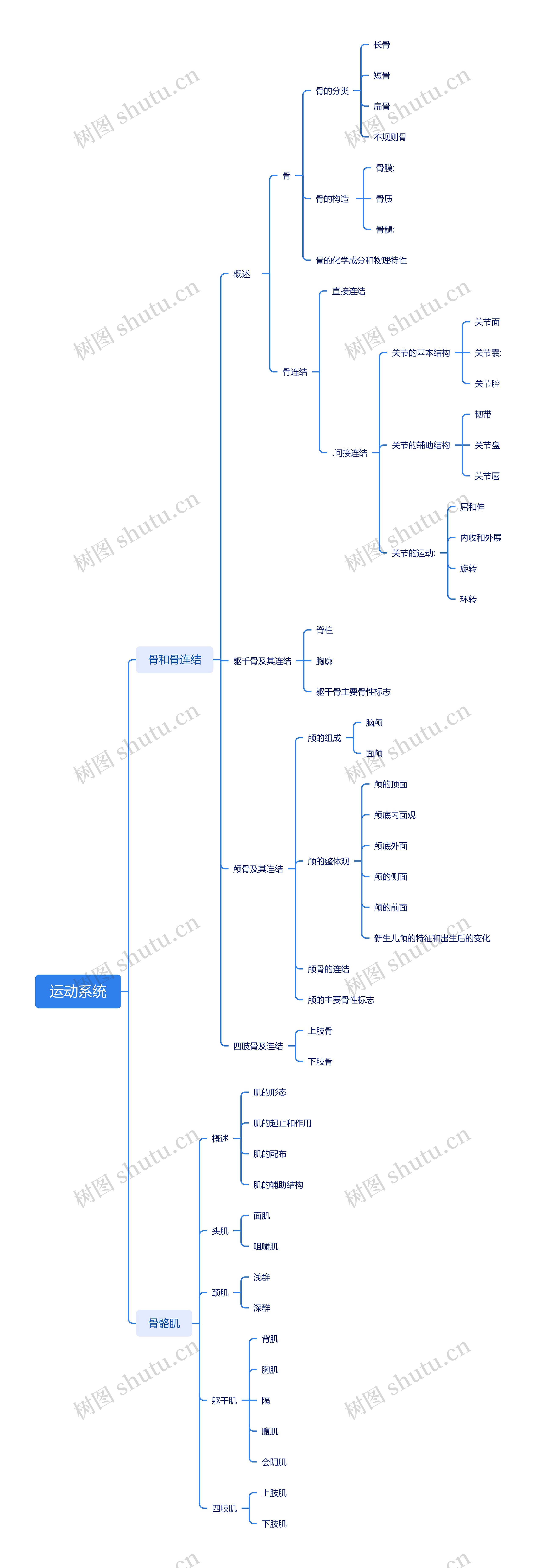 运动系统思维导图高清图 运动系统思维导图