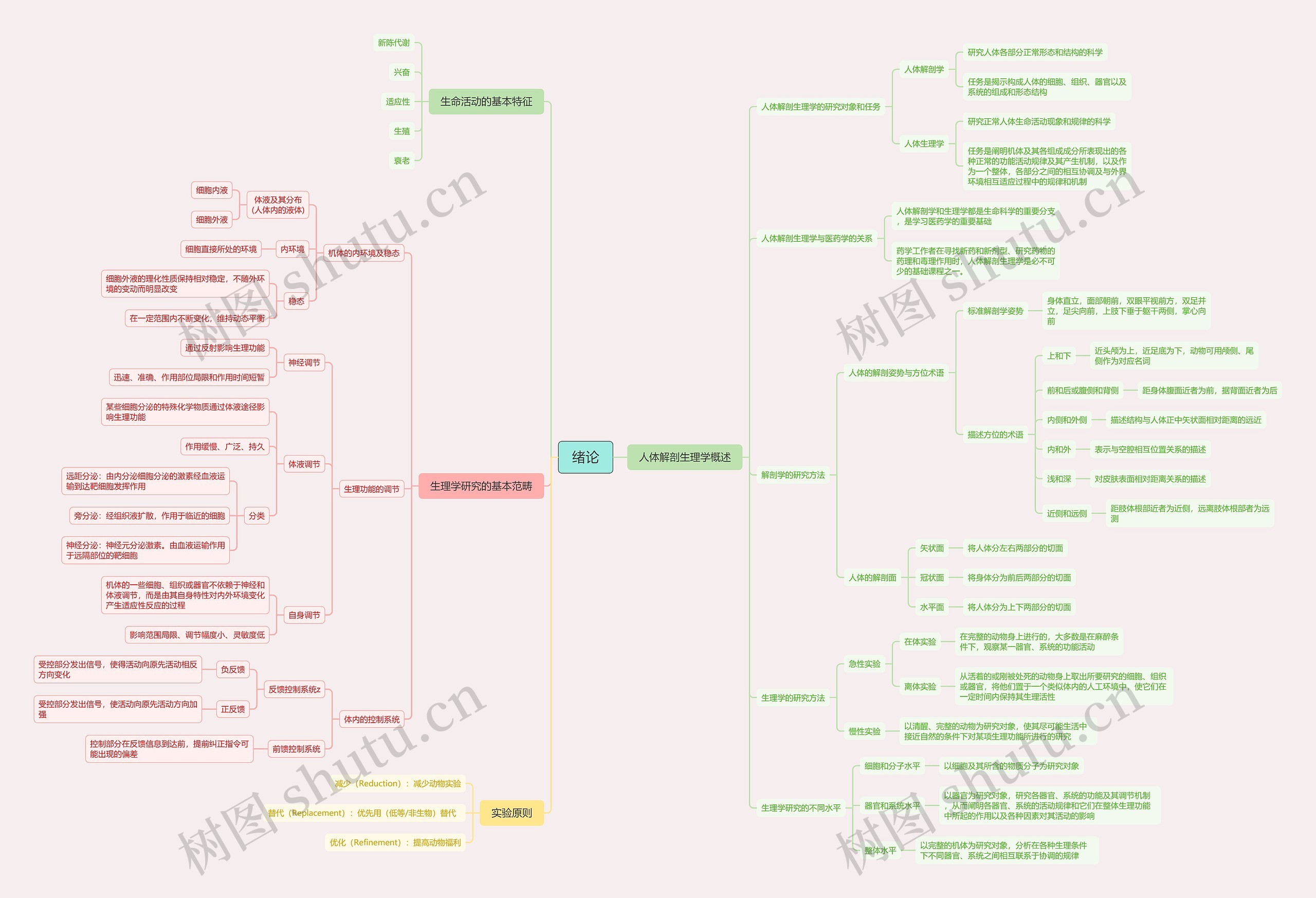 生理学绪论思维导图