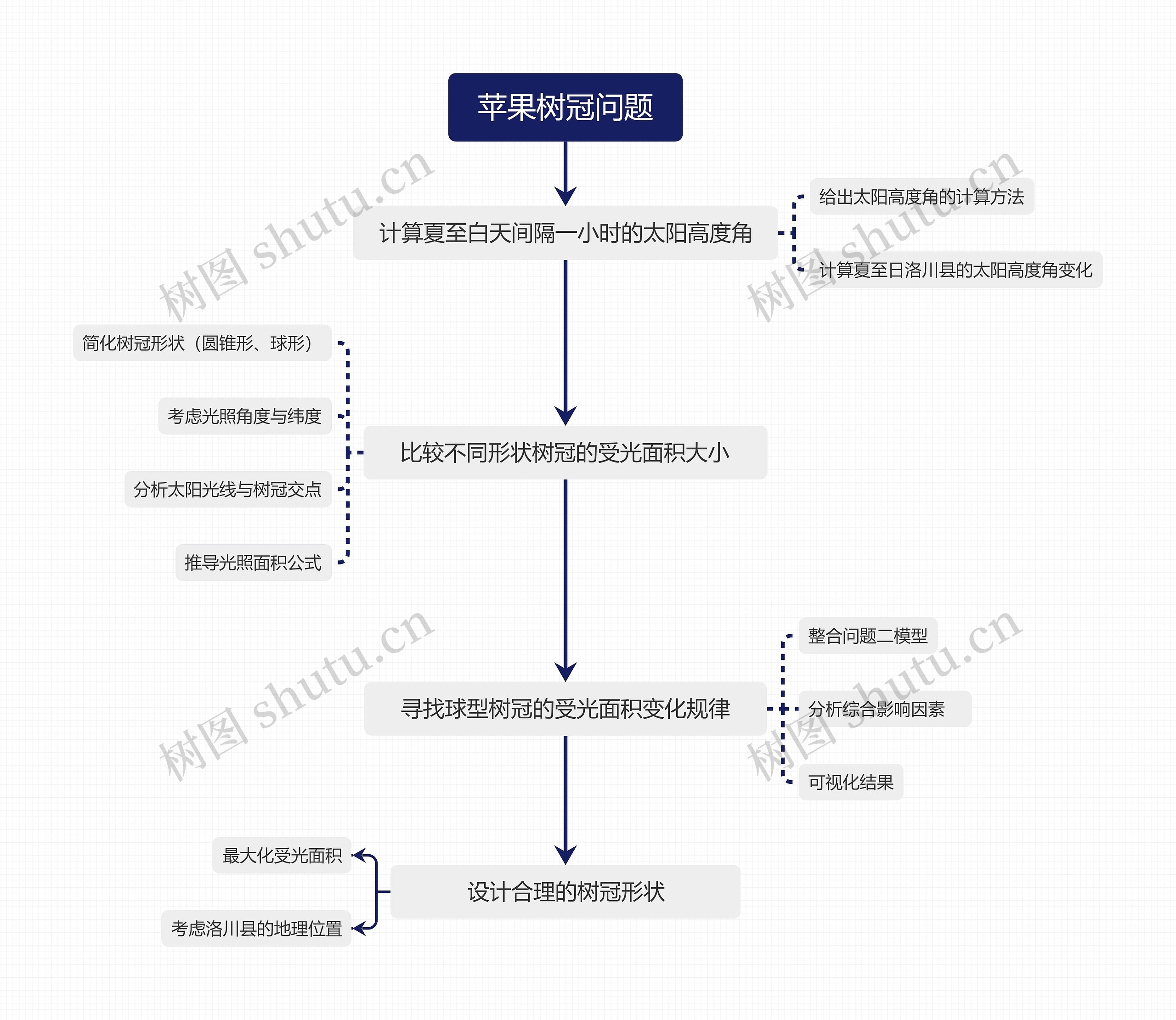 苹果树冠问题思维脑图