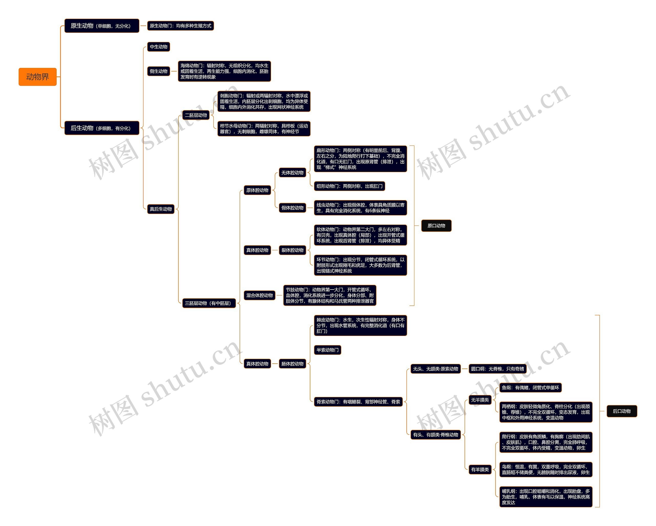 动物界思维导图