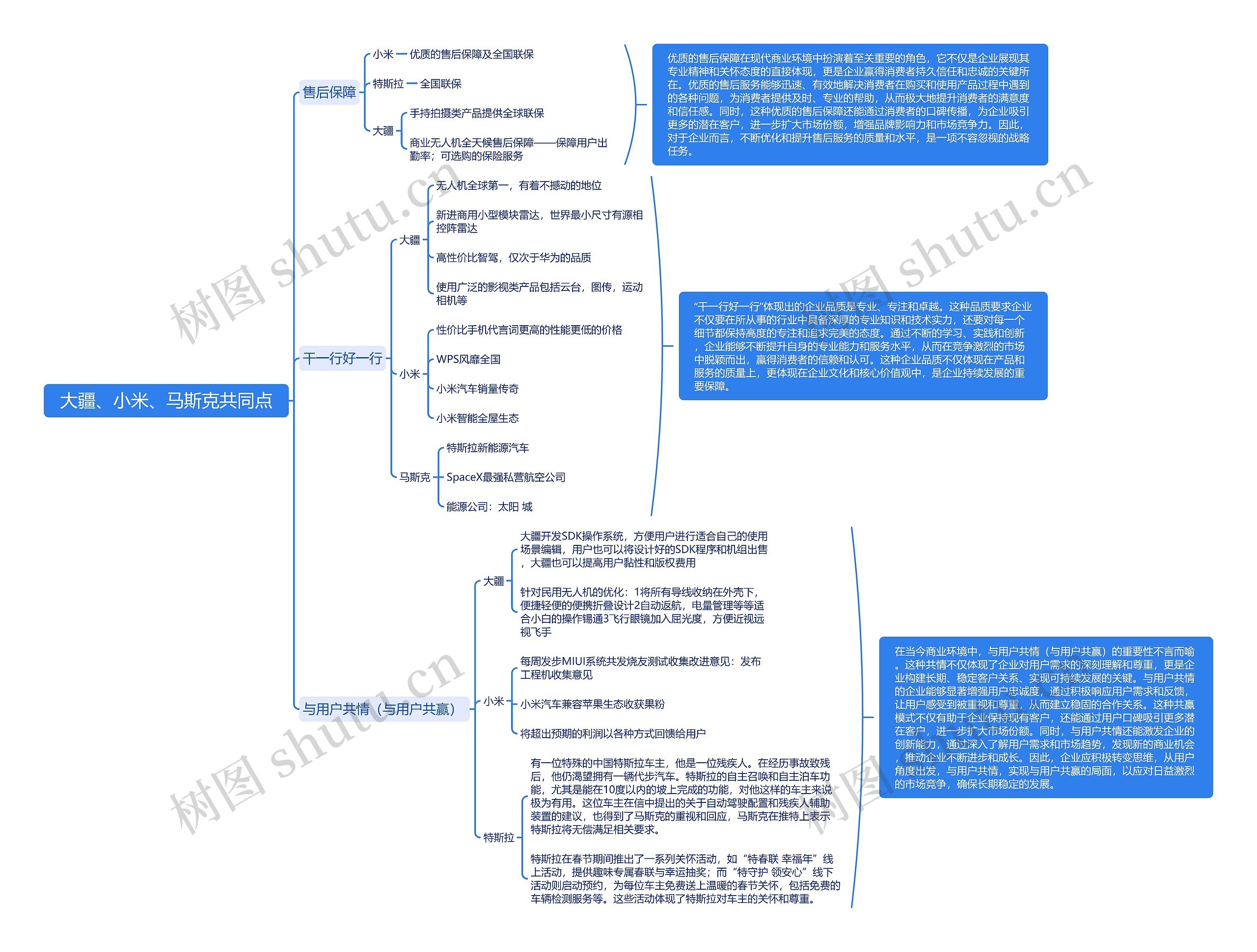 大疆、小米、马斯克共同点思维导图