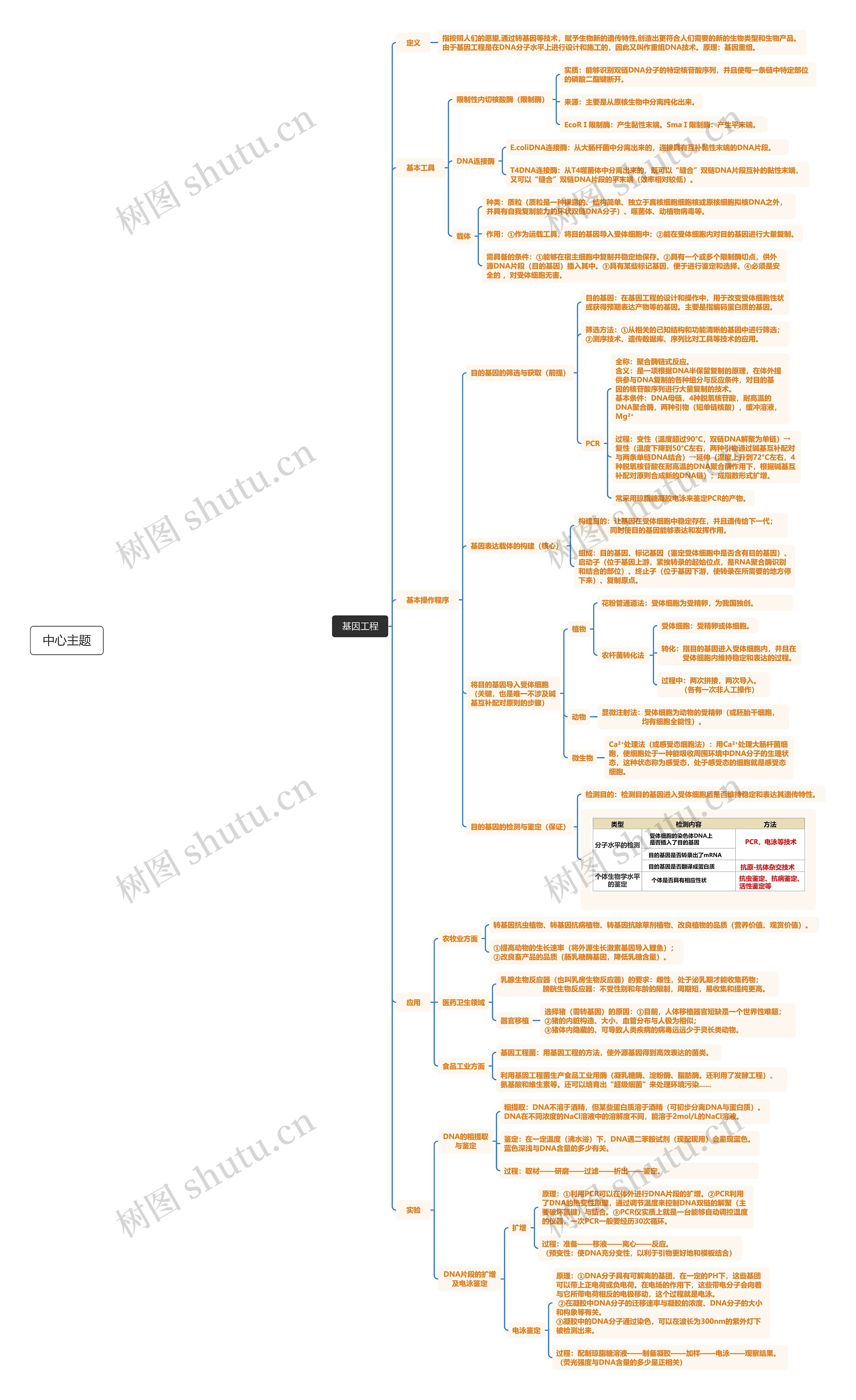 基因工程思维导图