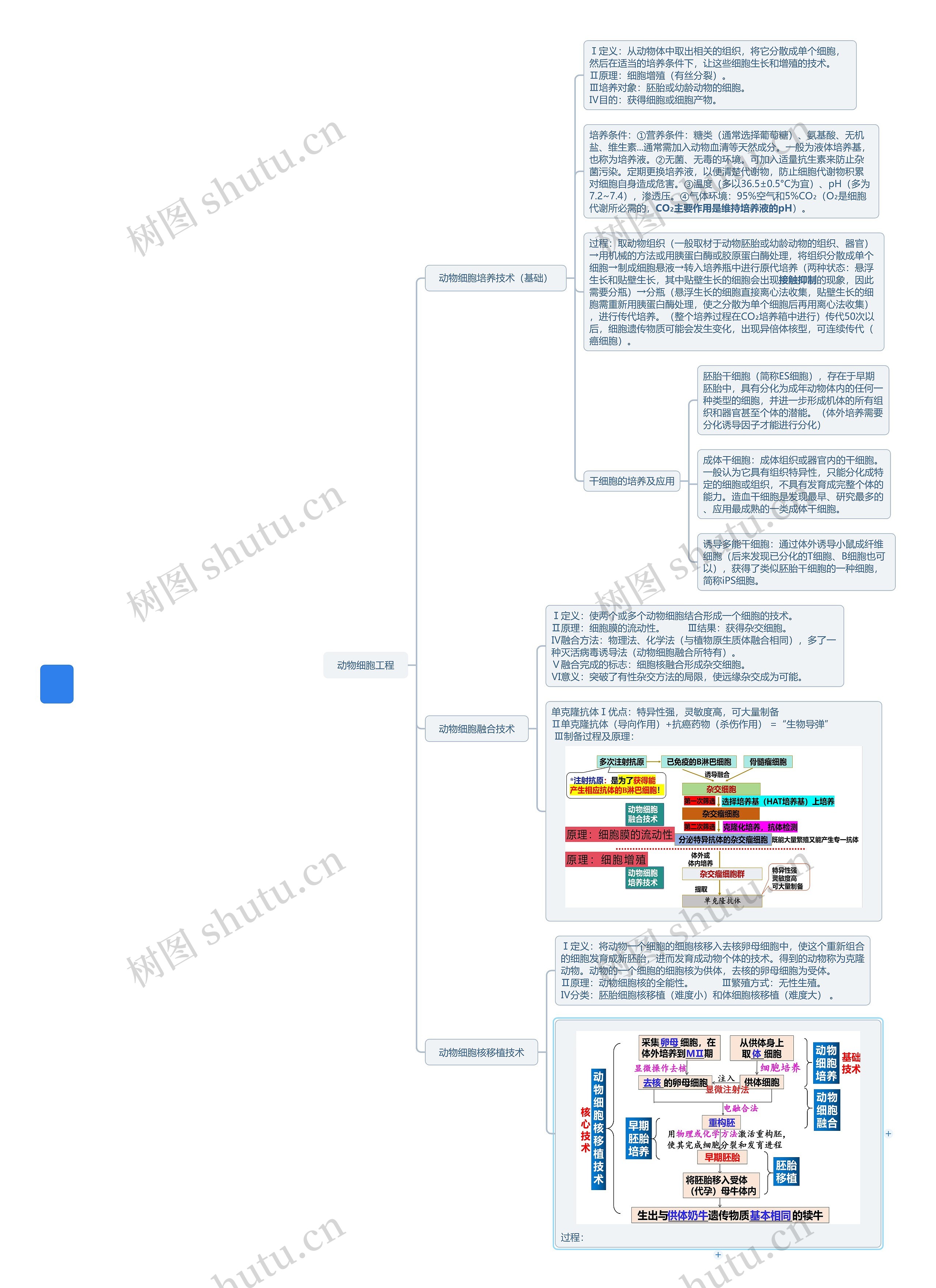 动物细胞工程思维导图