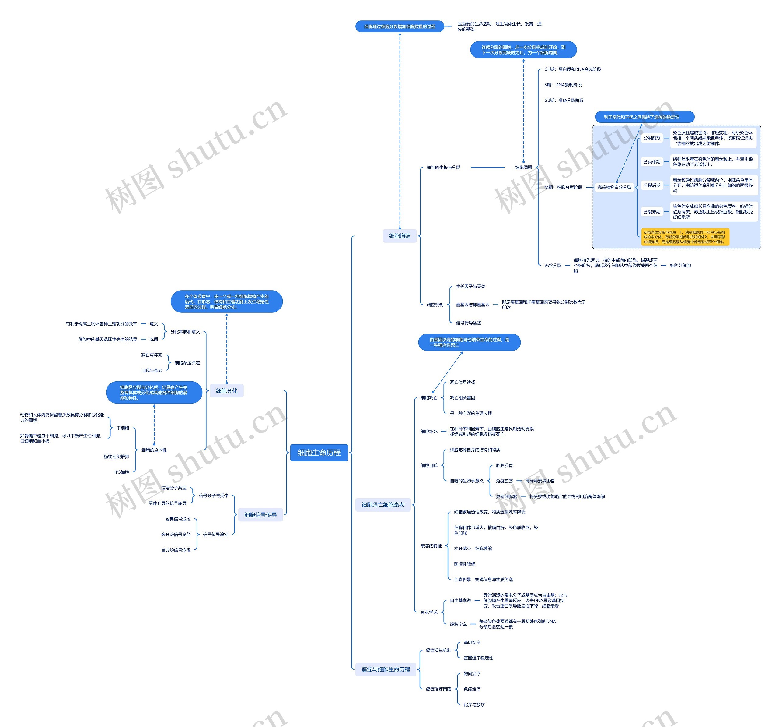 细胞生命历程思维导图