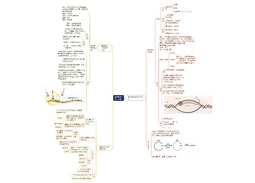 基因的表达by：沐清思维导图
