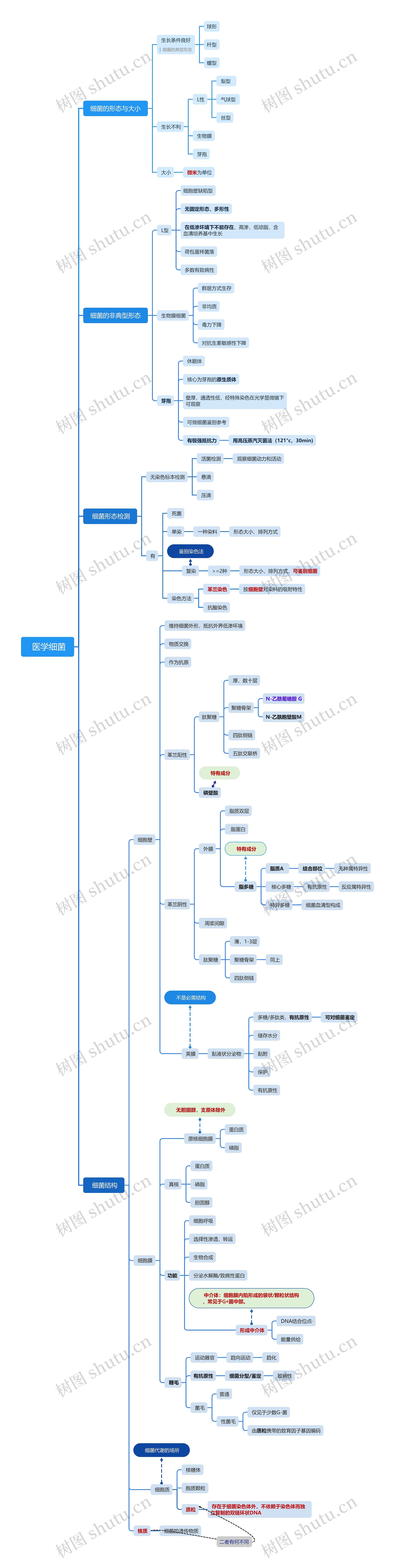  医学细菌思维脑图
