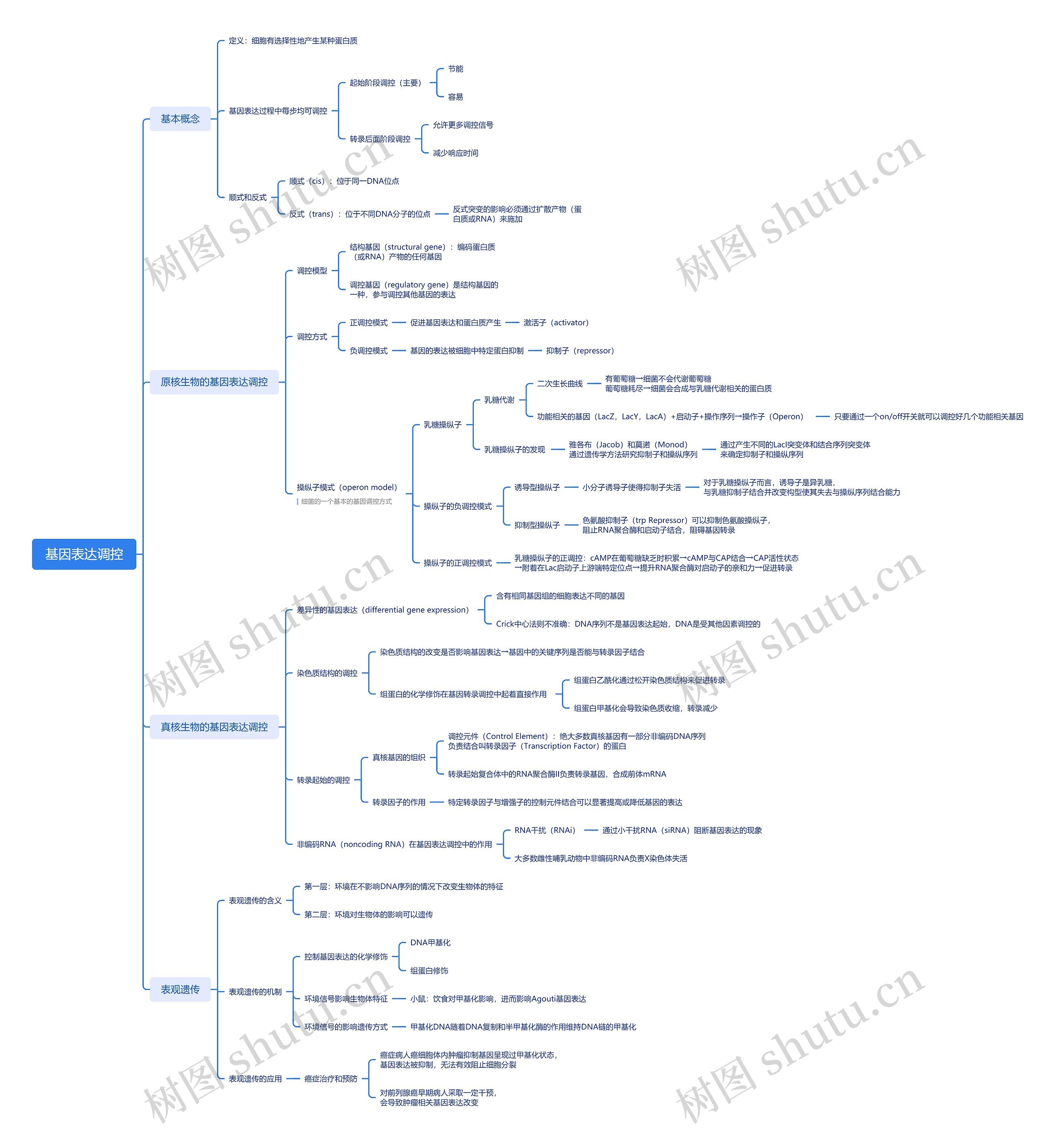 基因表达调控思维导图