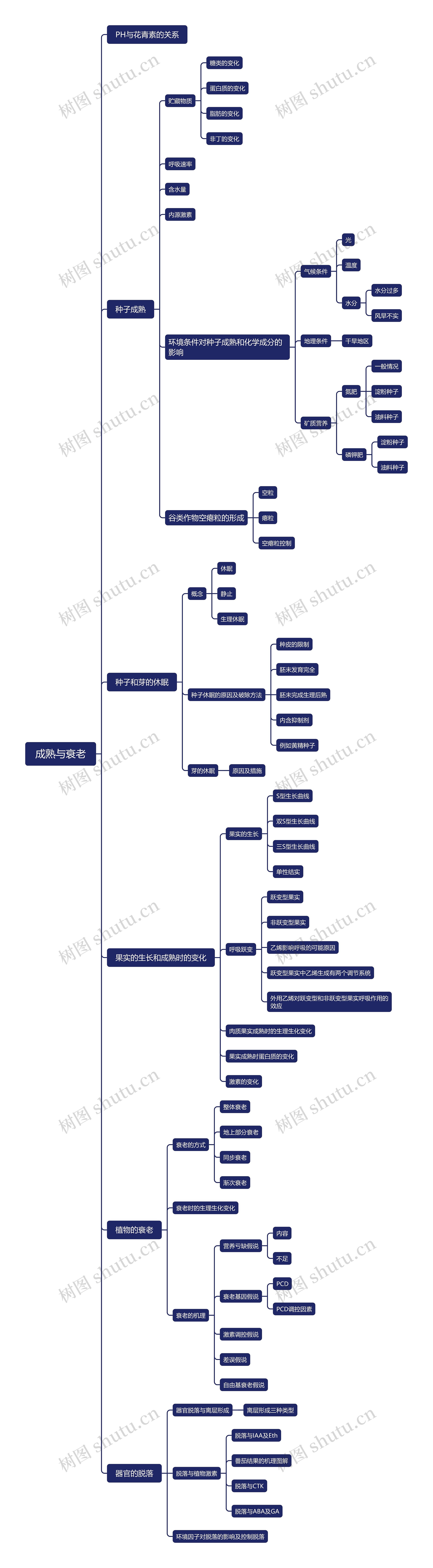 ﻿成熟与衰老思维导图