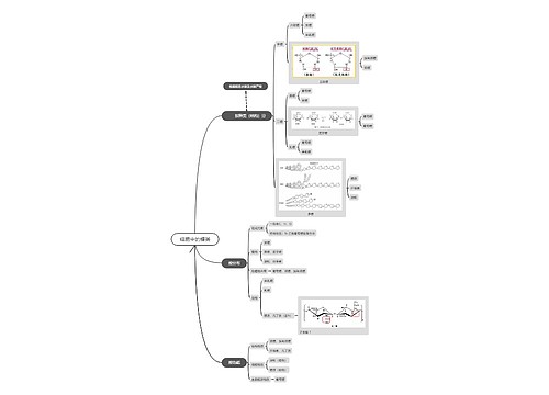 细胞中的糖类思维导图