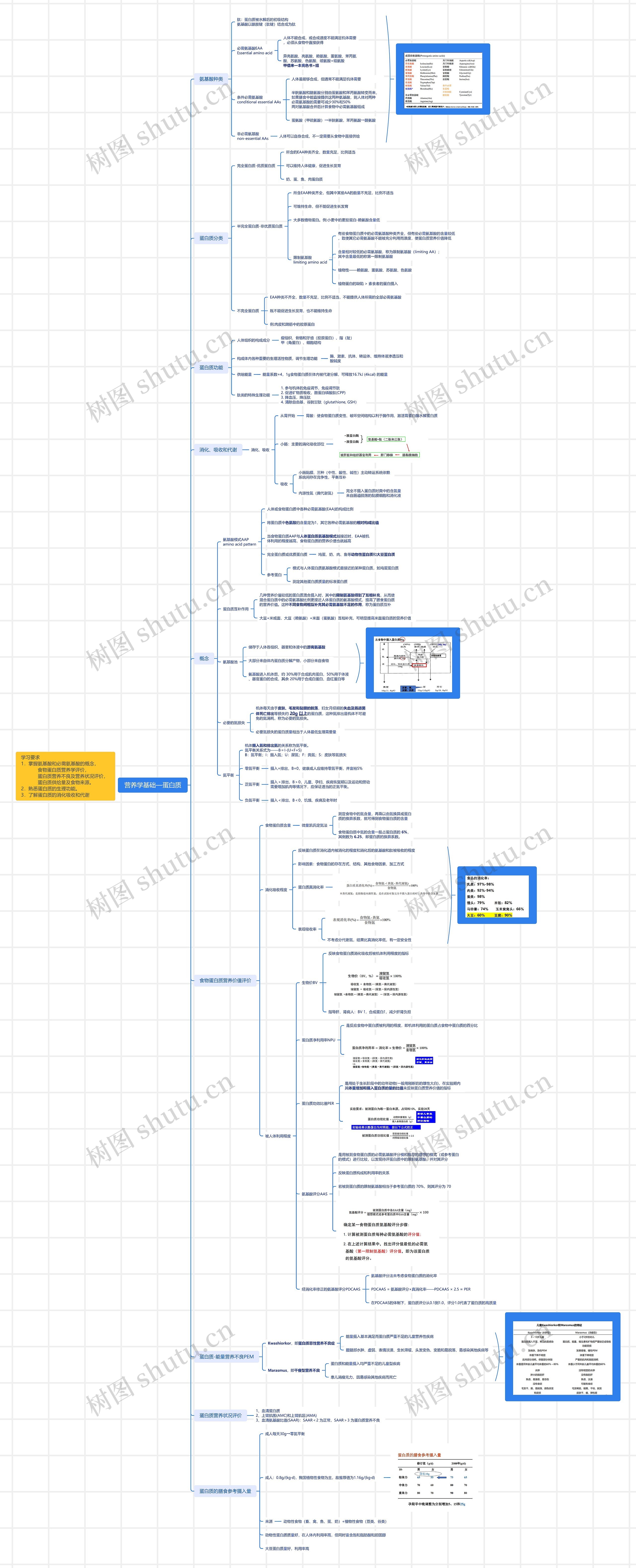 营养学基础—蛋白质思维导图