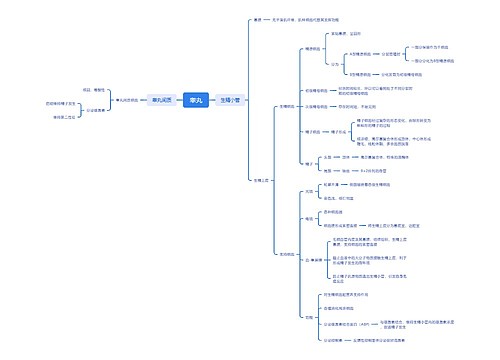 睾丸器官结构思维脑图 睾丸器官结构思维脑图