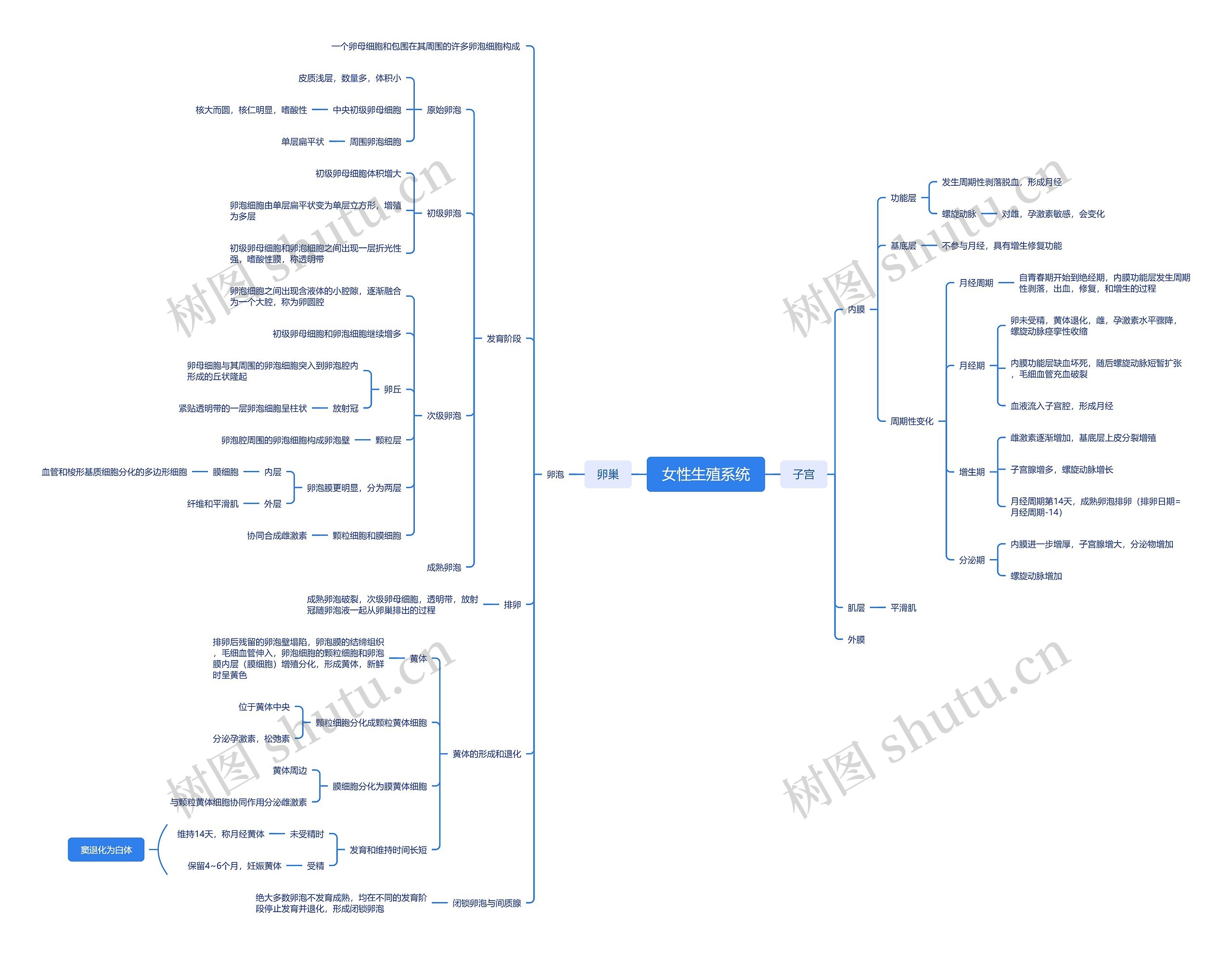 ﻿女性生殖系统思维脑图