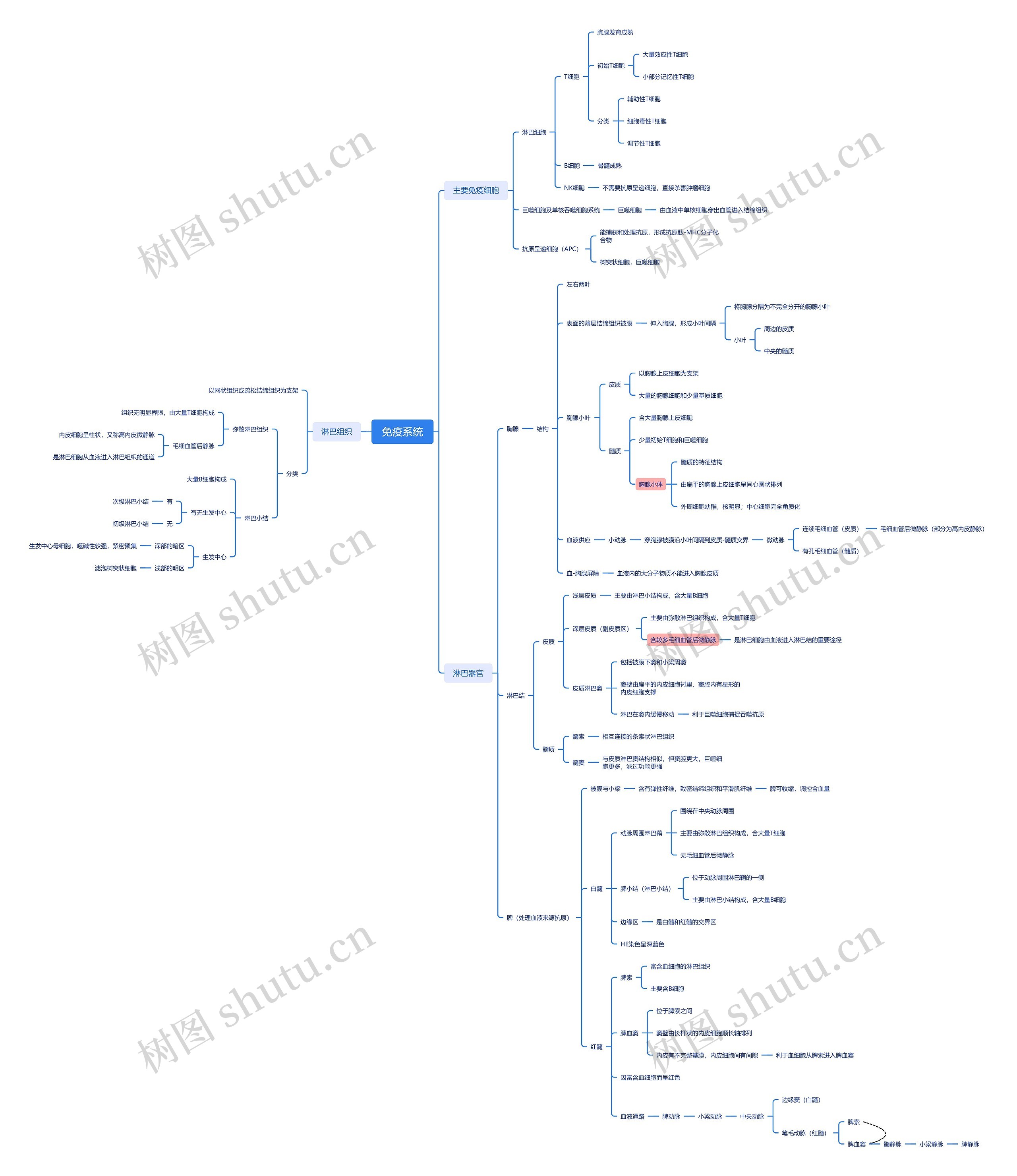 ﻿免疫系统思维脑图