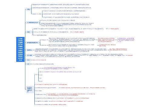 p38激活的蛋白激酶信号转导通路介导的自噬在镉暴露的韩国臂尾轮虫中的作用 p38激活的蛋白激酶信号转导通路介导的自噬在镉暴露的韩国臂尾轮虫中的作用