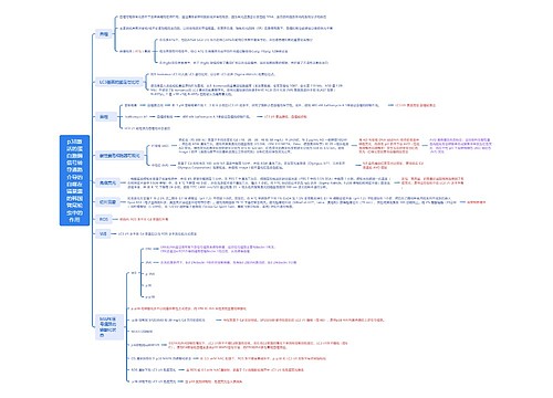 p38激活的蛋白激酶信号转导通路介导的自噬在镉暴露的韩国臂尾轮虫中的作用思维导图