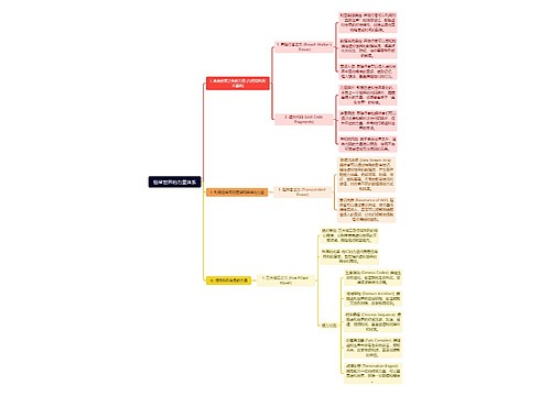 恒常世界的力量体系思维导图