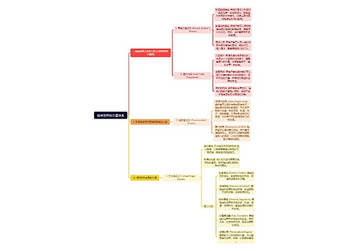 恒常世界的力量体系 恒常世界的力量体系