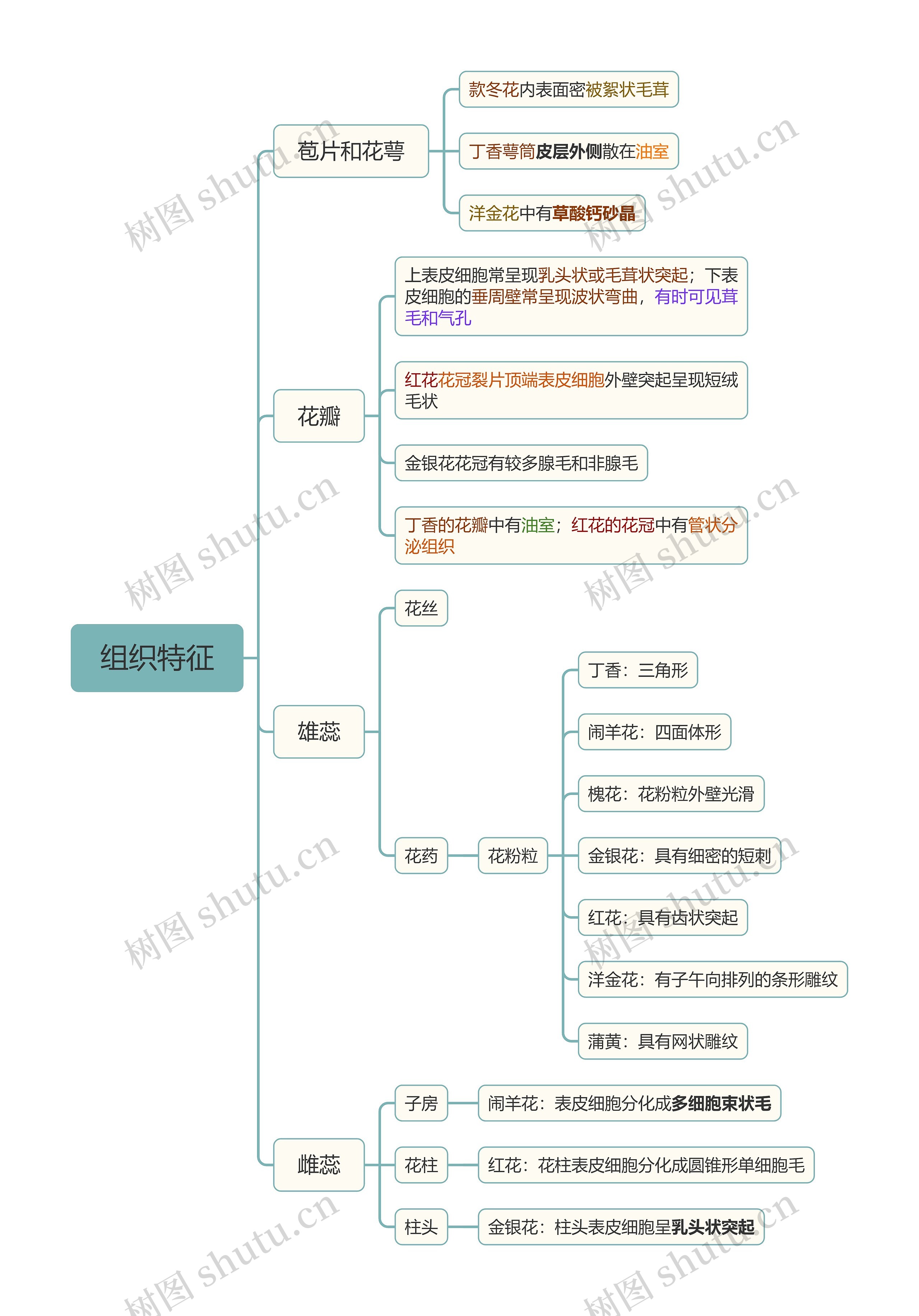 组织特征思维导图