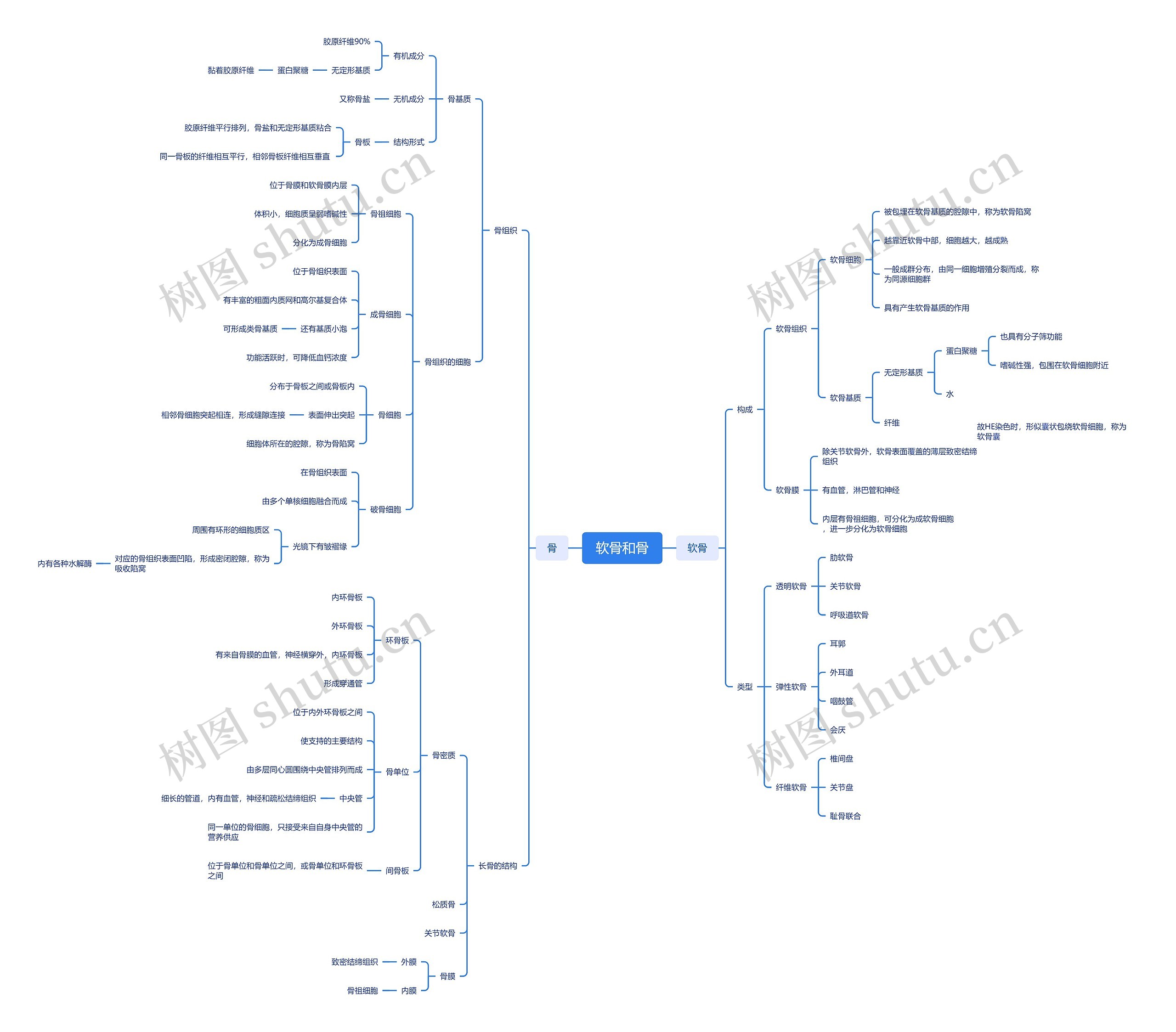 ﻿软骨和骨思维导图