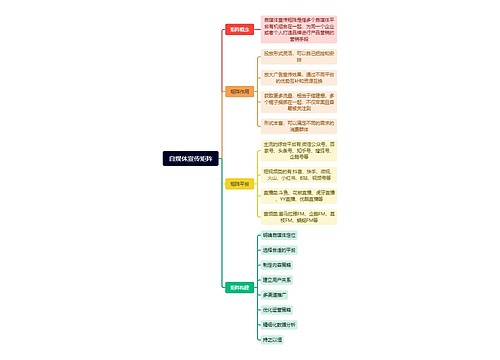 自媒体宣传矩阵思维导图