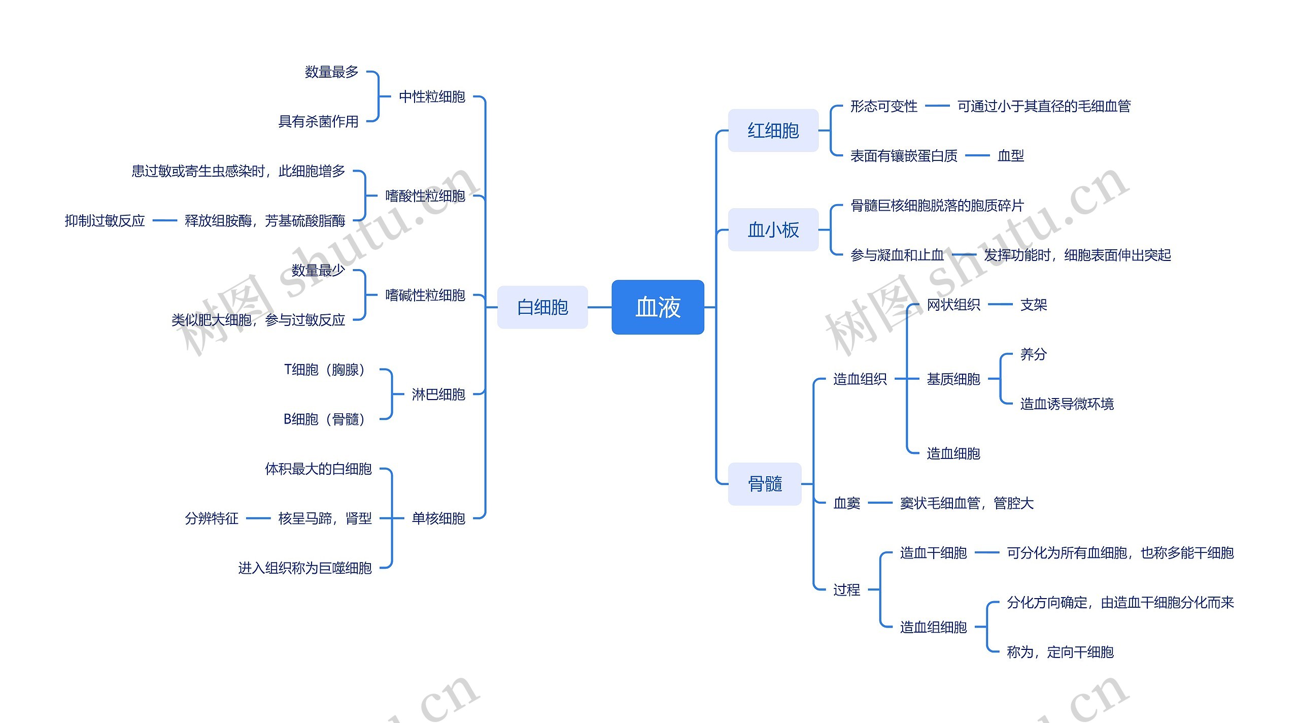 ﻿血液思维导图