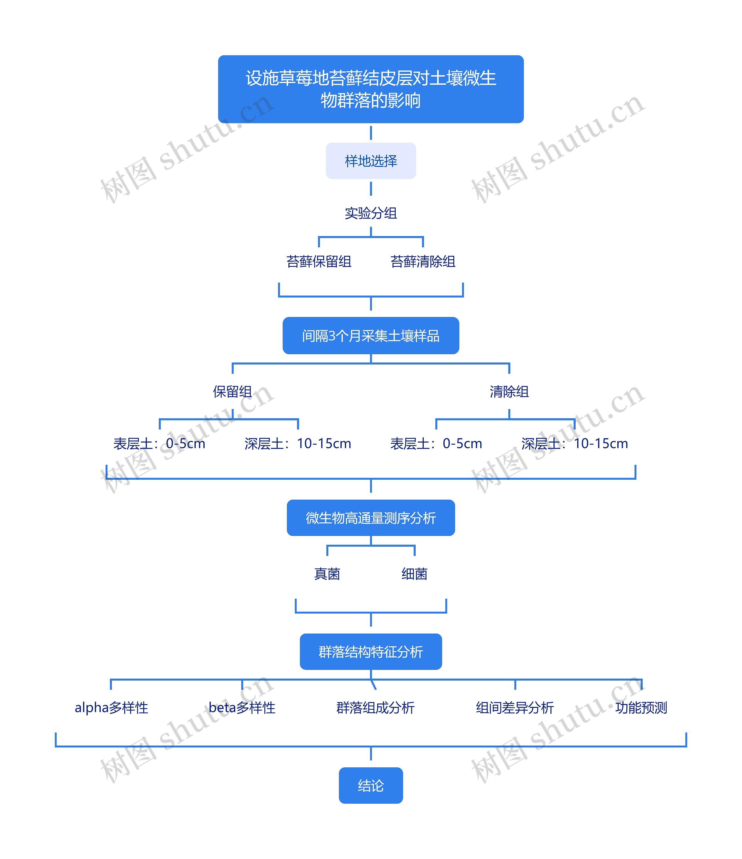 设施草莓地苔藓结皮层对土壤微生物群落的影响思维导图