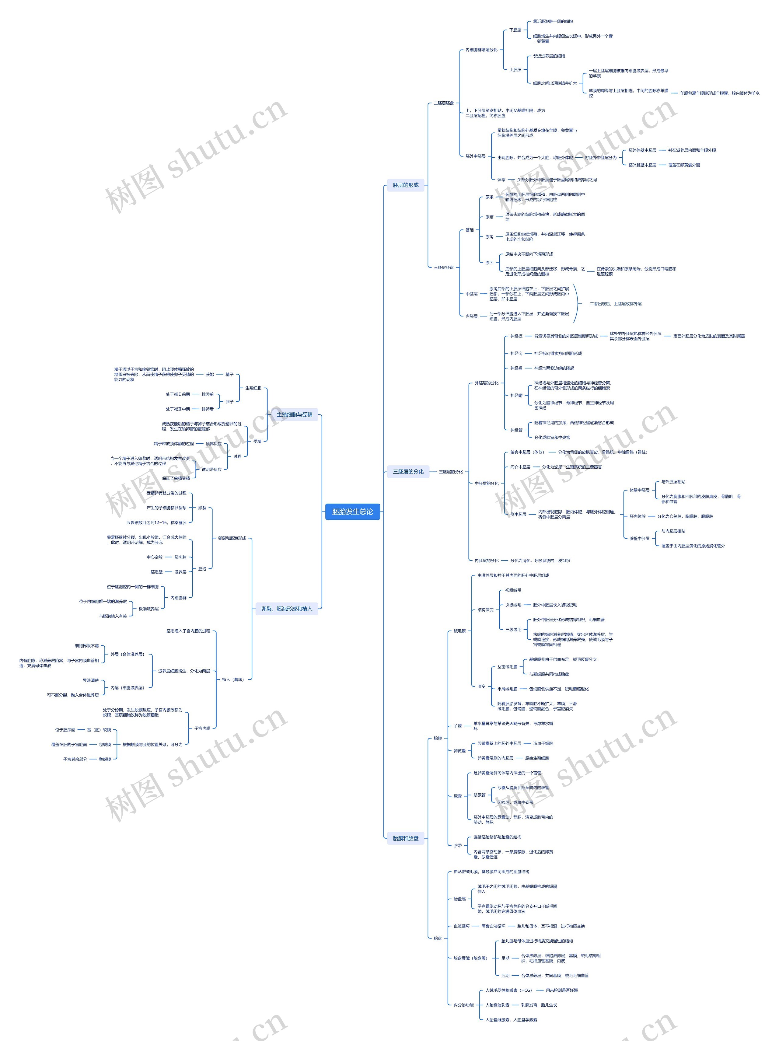 ﻿胚胎发生总论思维导图
