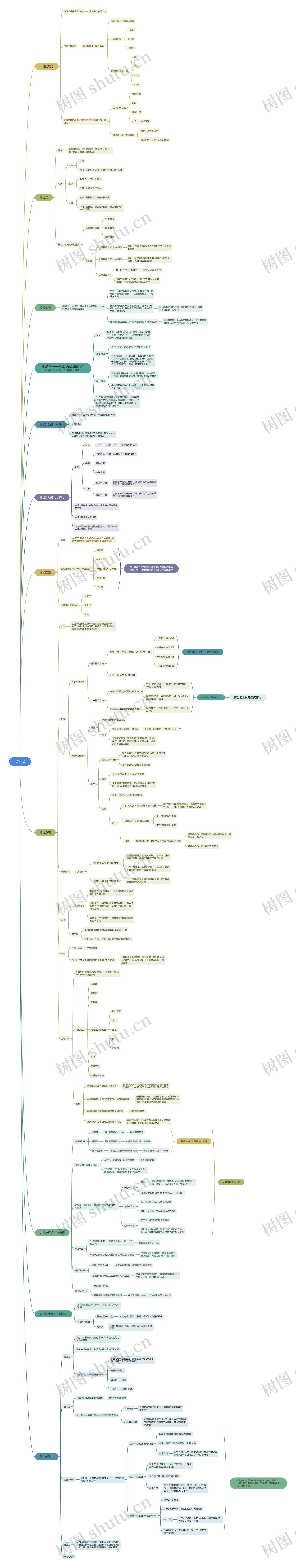 心理的神经生理机制思维导图高清图 心理的神经生理机制思维导图