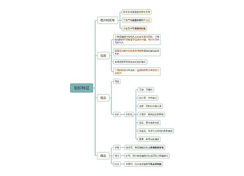 组织特征思维导图