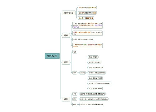 组织特征 组织特征