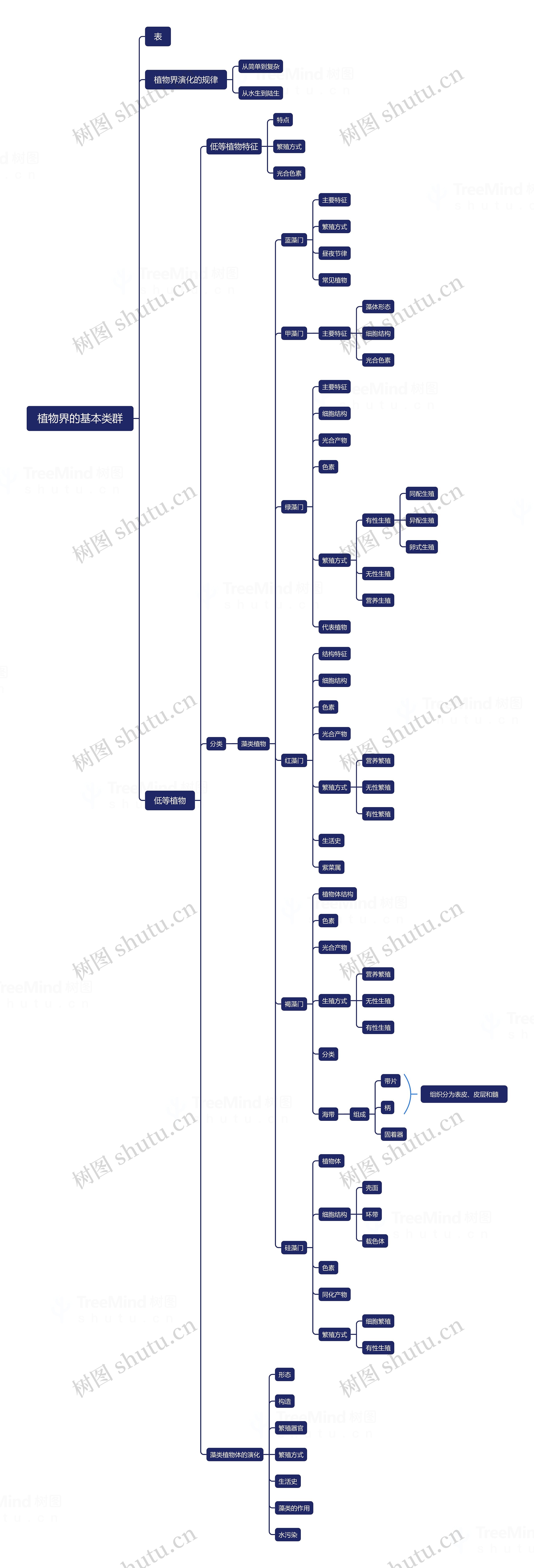 植物界的基本类群思维导图