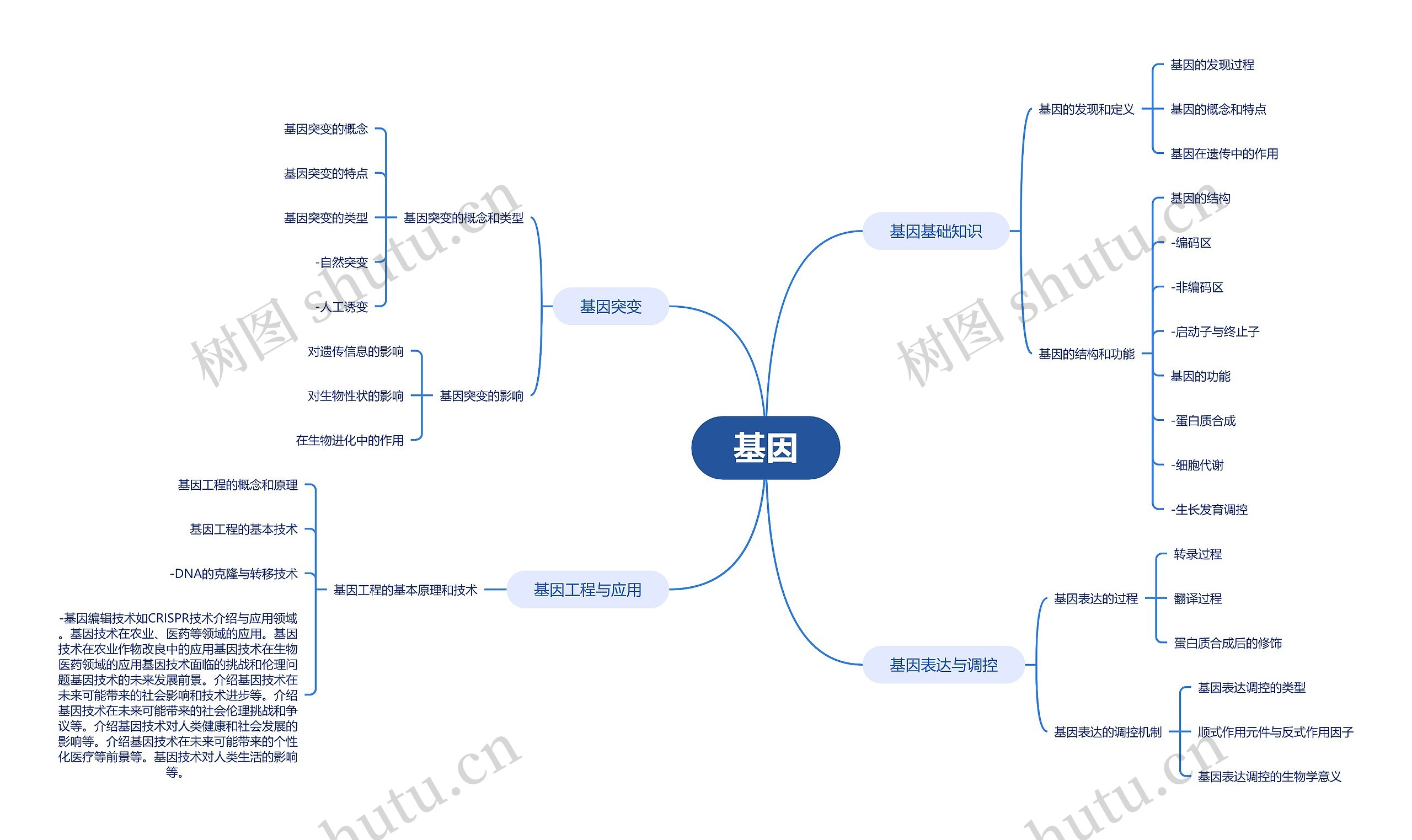 基因思维导图高清图 基因思维导图