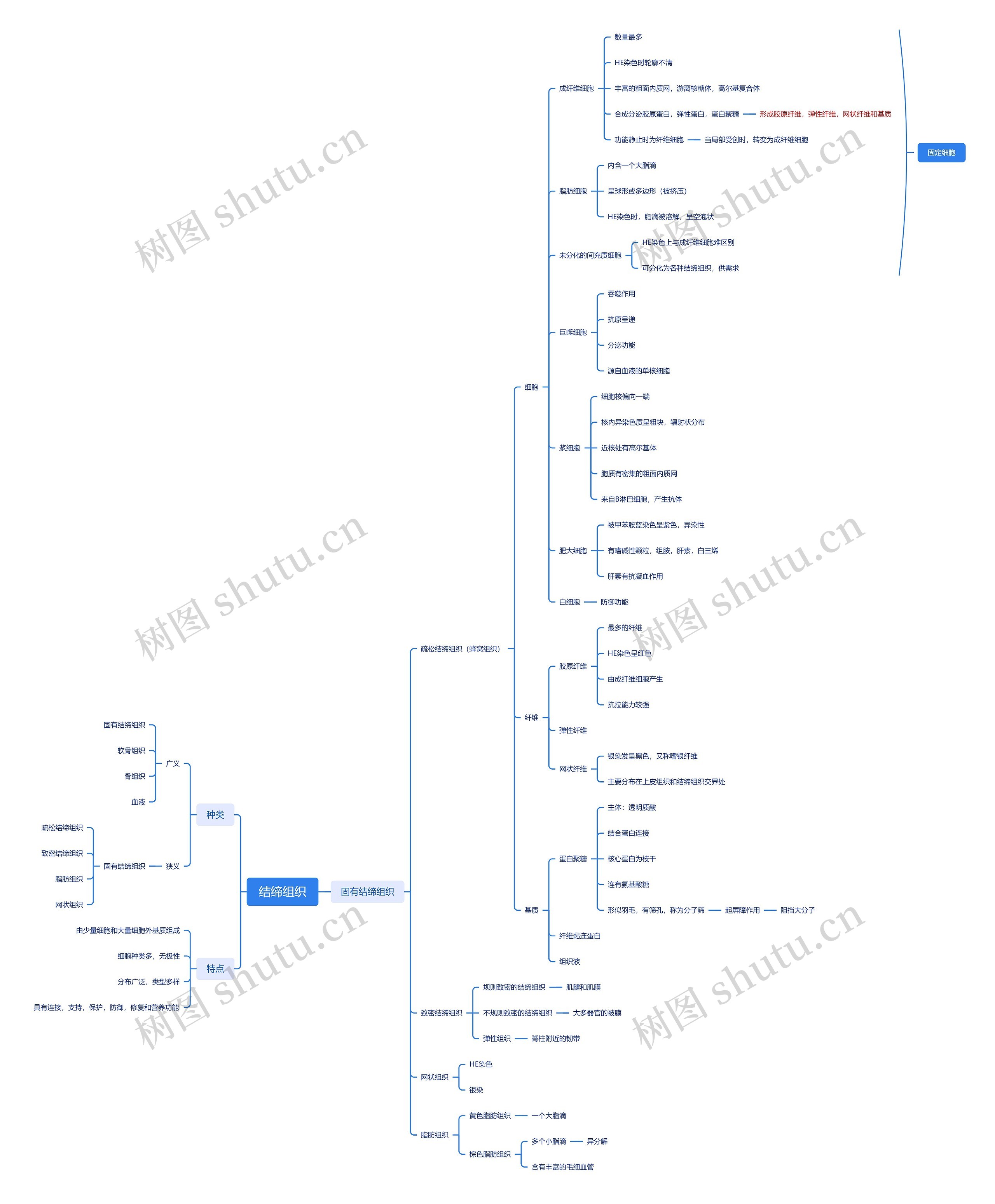 ﻿结缔组织思维脑图