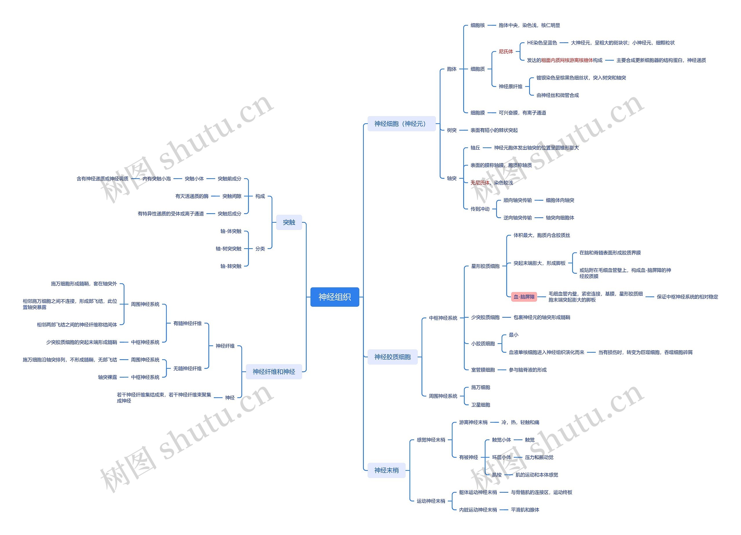 ﻿神经组织思维导图