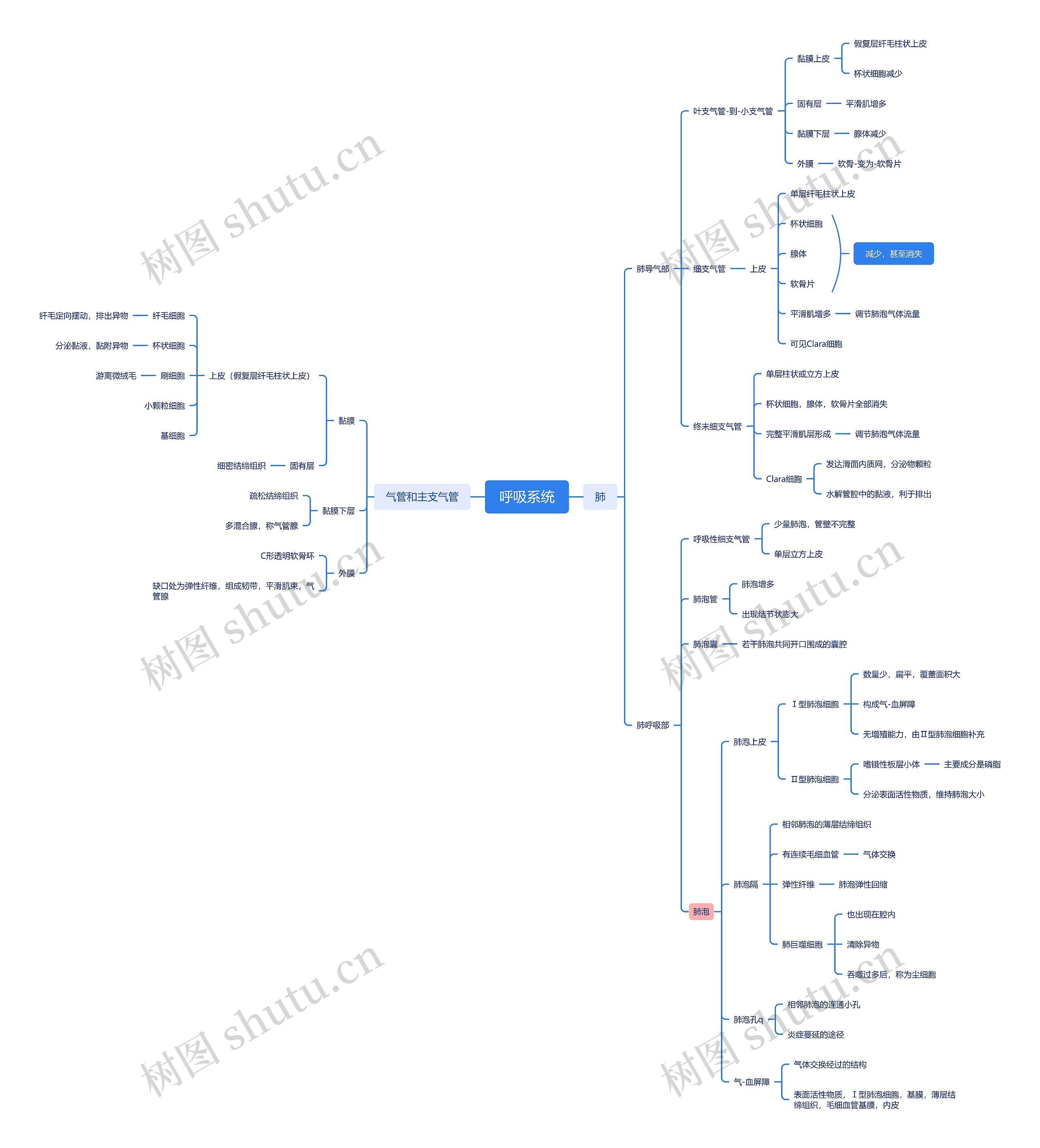 ﻿呼吸系统思维脑图
