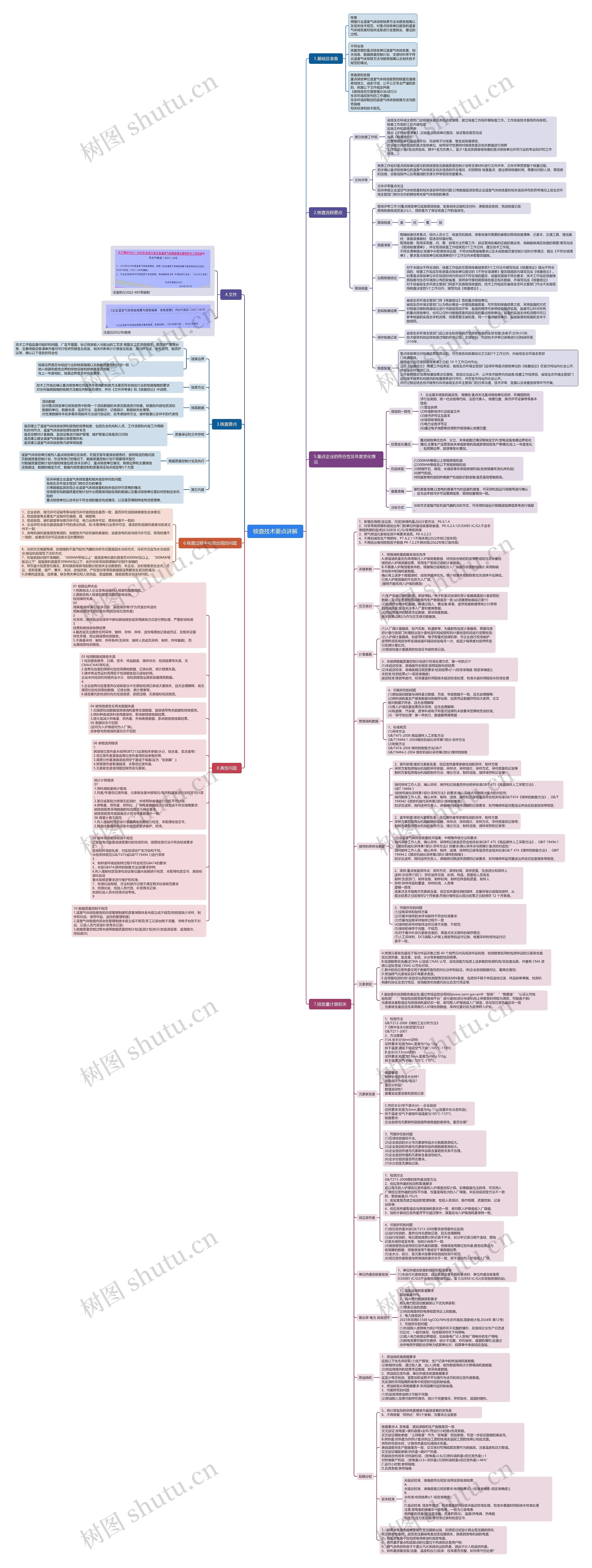 核查技术要点讲解思维导图