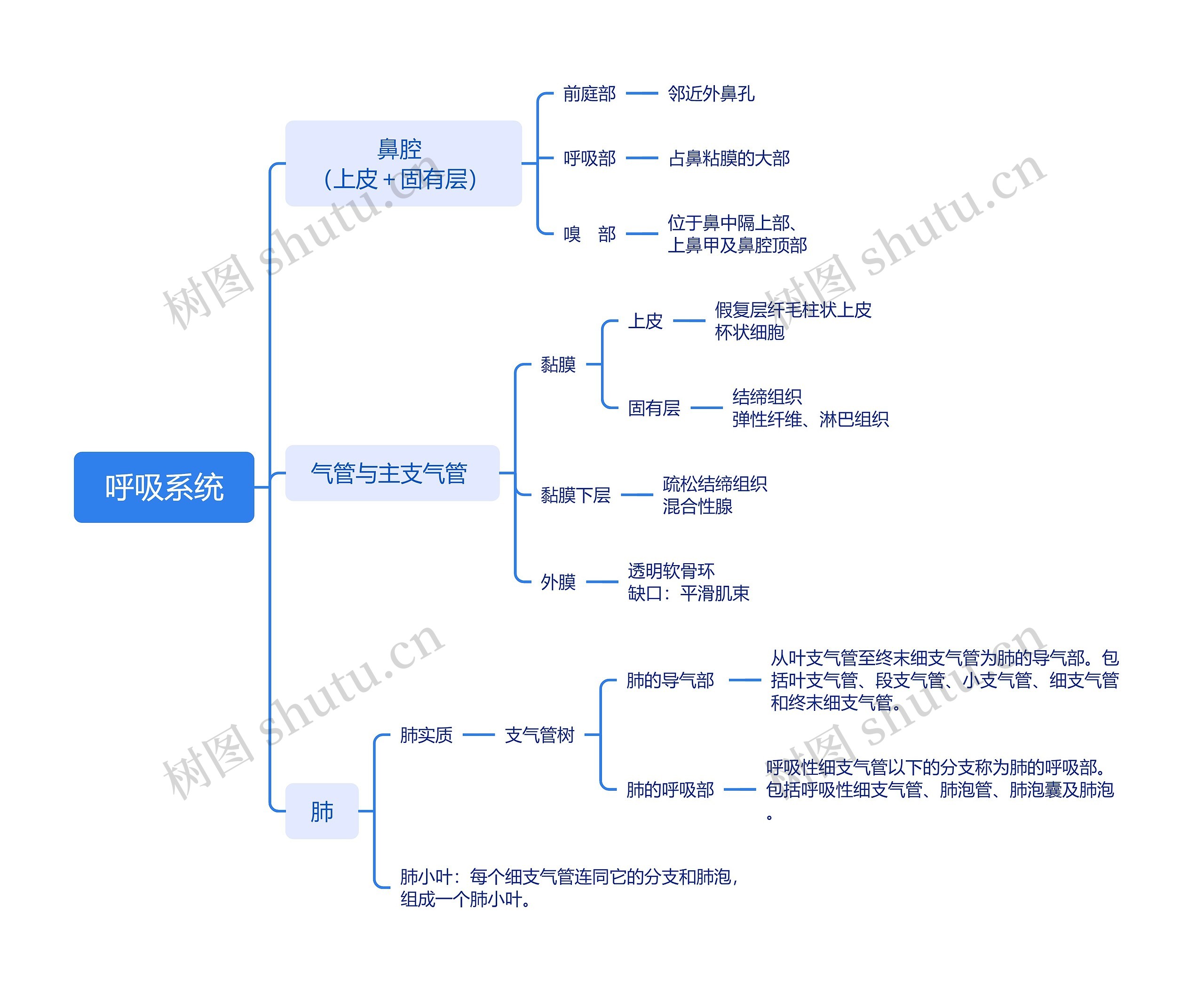 呼吸系统思维导图