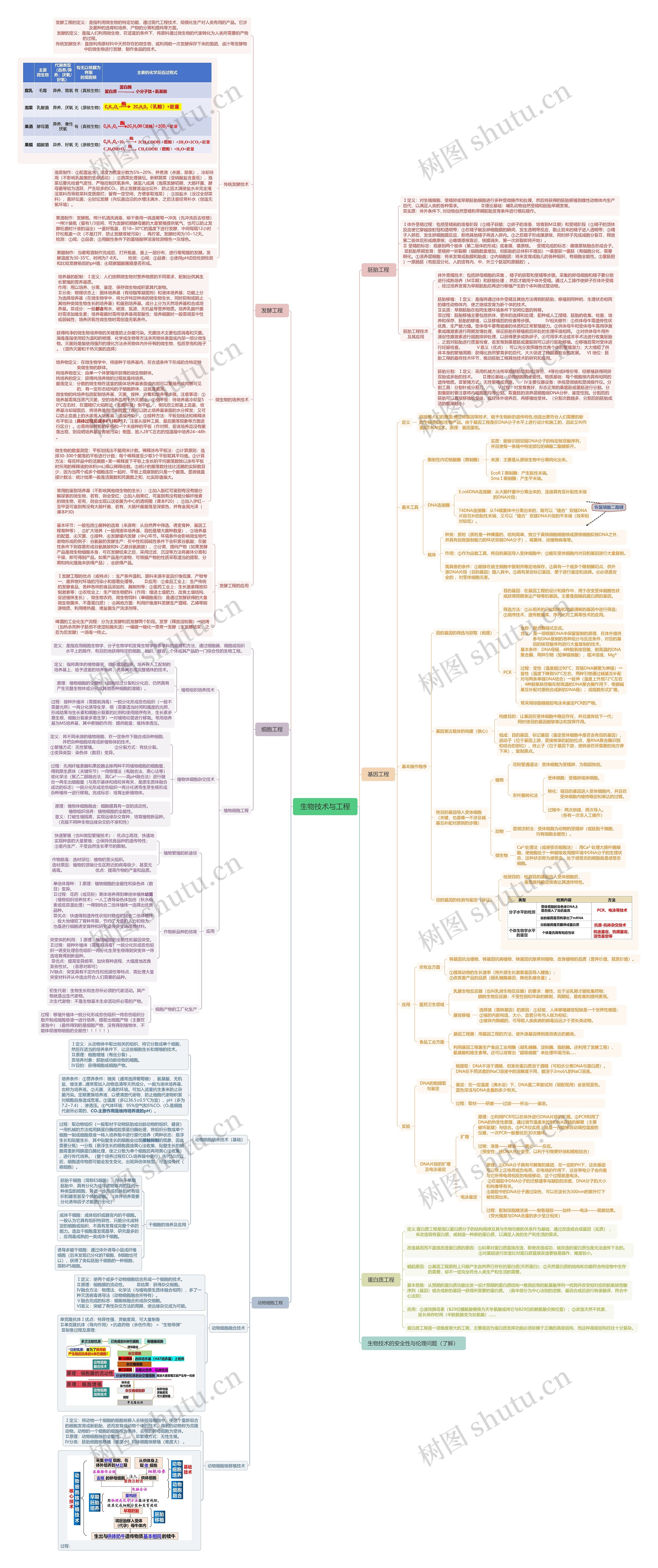 生物技术与工程思维导图