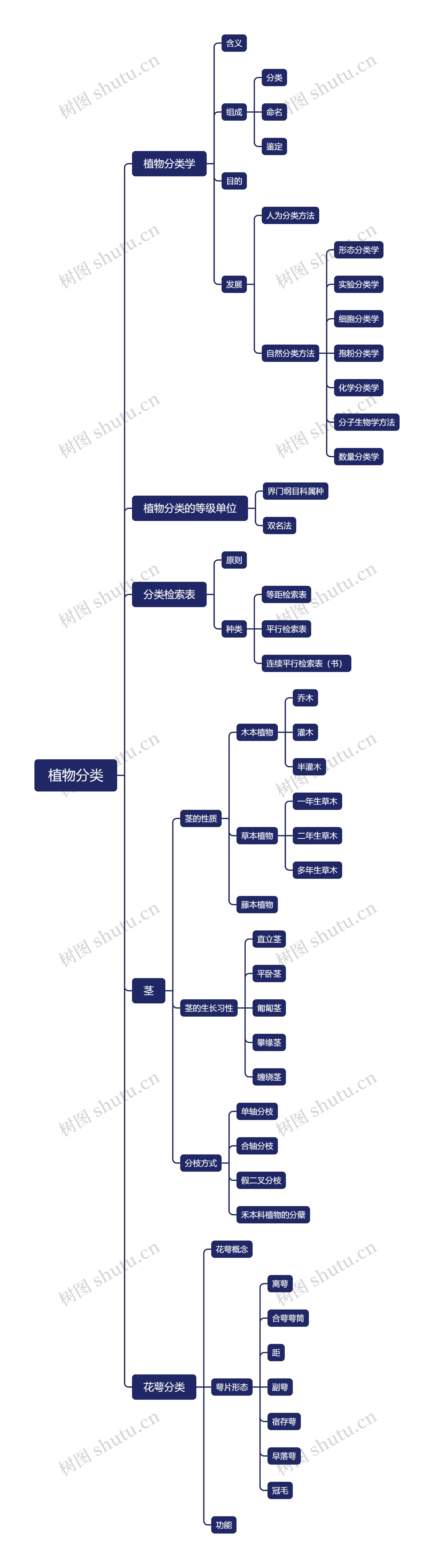 植物分类思维导图高清图 植物分类思维导图