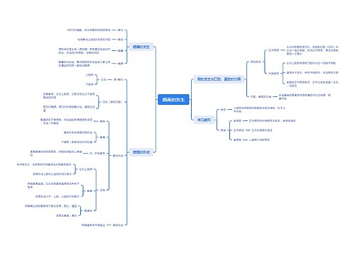 ﻿颜面的发生思维脑图思维导图