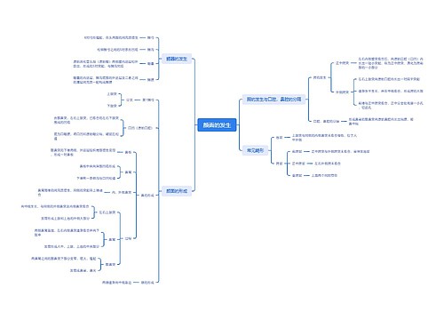 颜面的发生思维脑图 颜面的发生思维脑图