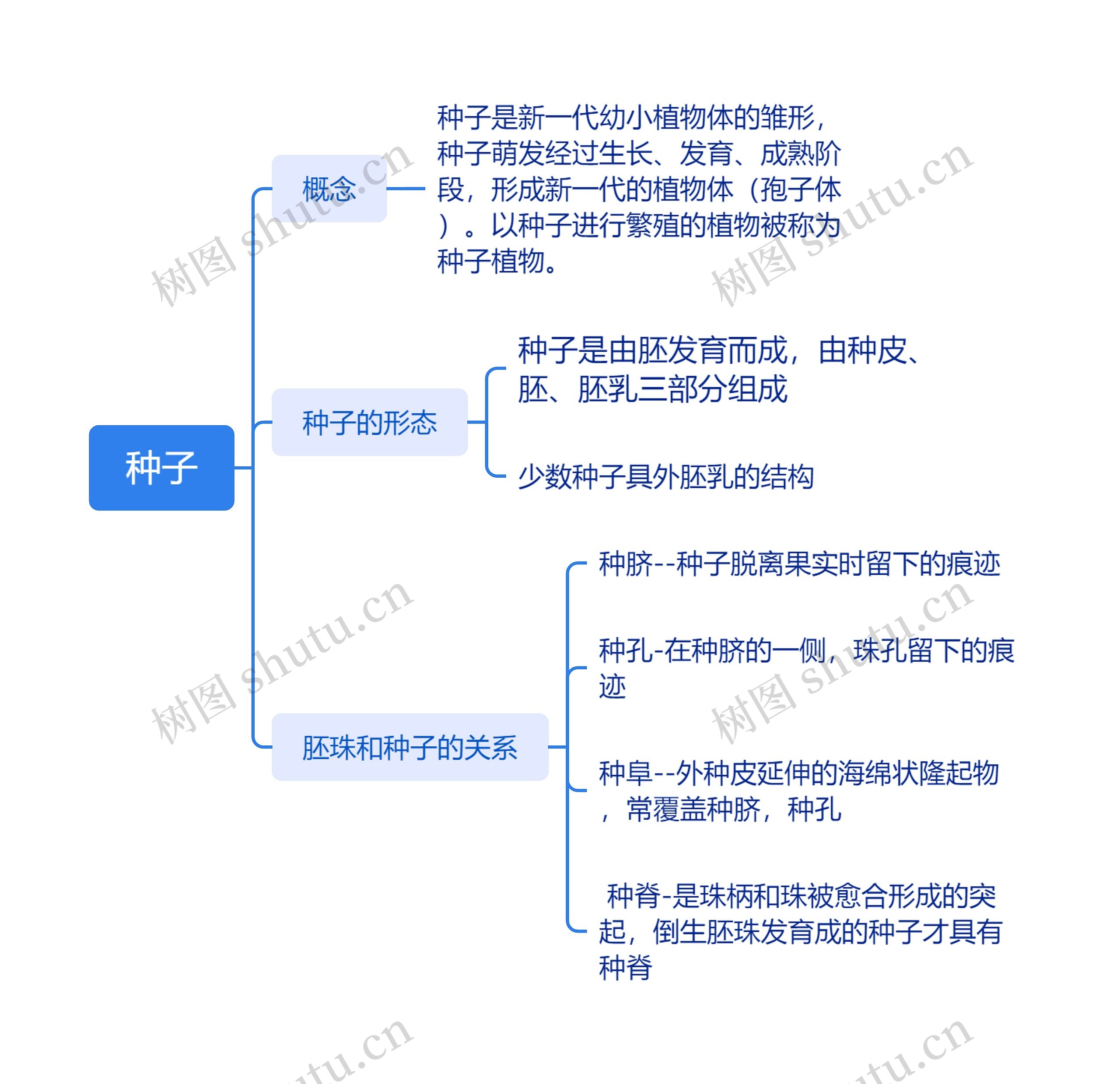 种子思维脑图