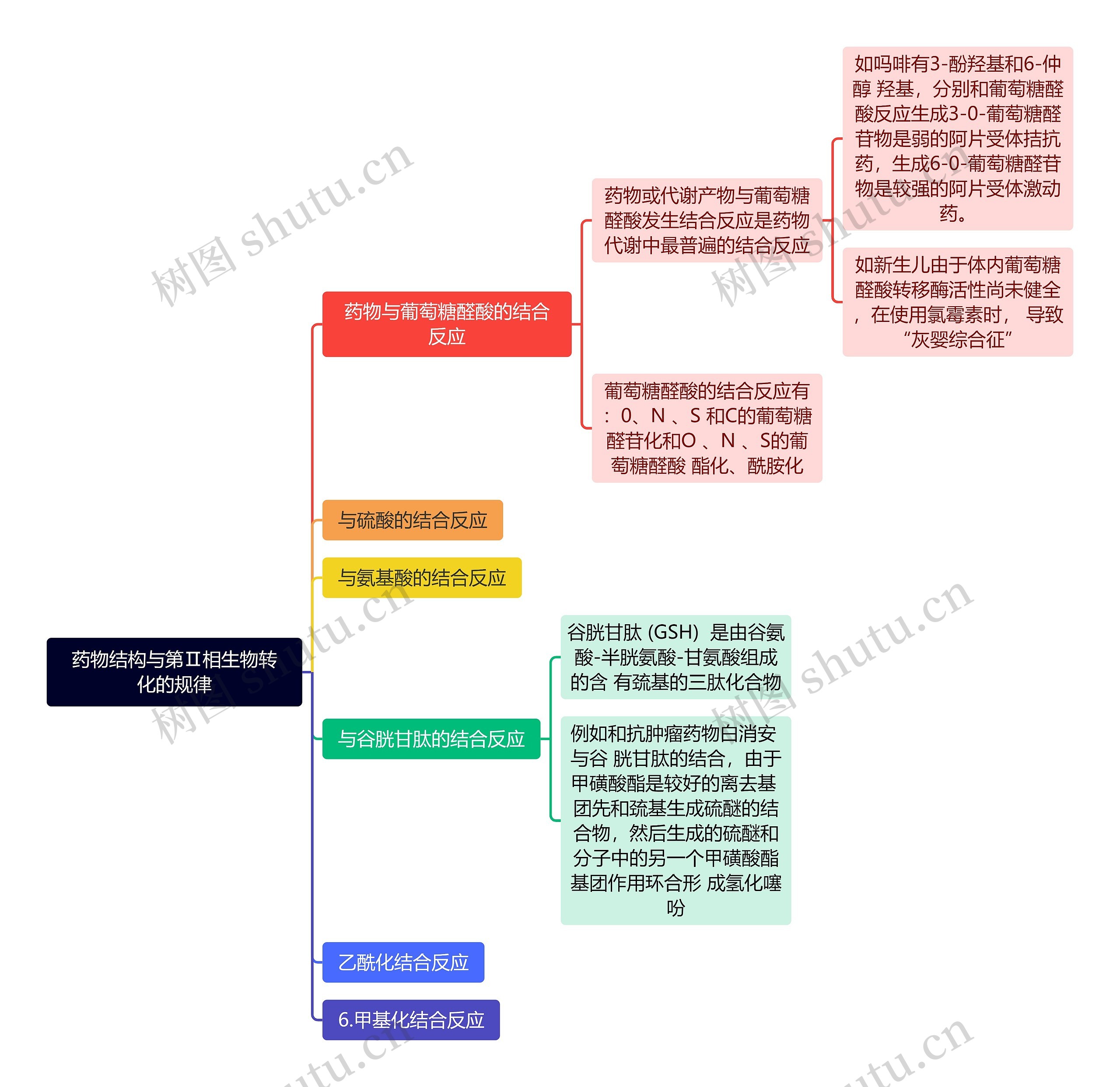 药物结构与第Ⅱ相生物转化的规律思维导图