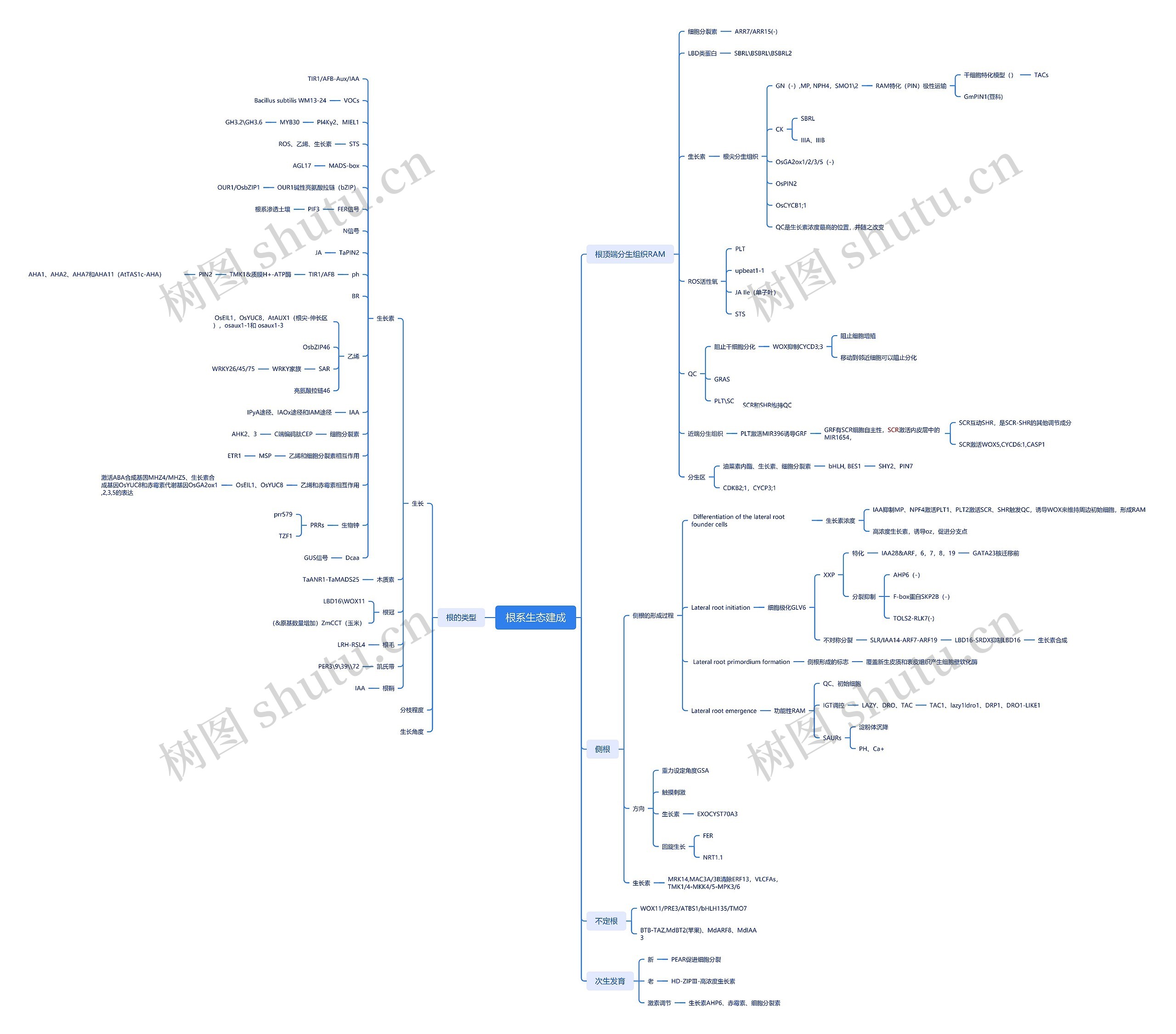 根系生态建成思维导图高清图 根系生态建成思维导图